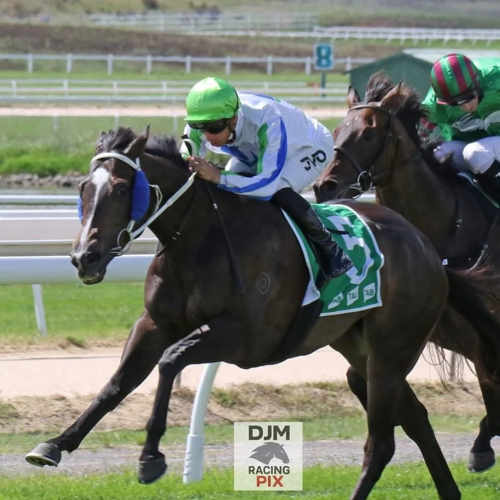 Brutal Belle heads to @murrumbidgeeturfclub , Wagga Wagga today to contest race 6 over 1200. 

@pepperracing2 has her flying this prep, and barrier 6 should allow her hoop, @jeanvovermeire, to stalk the speed and go &ldquo;bang&rdquo;💥

Good luck to