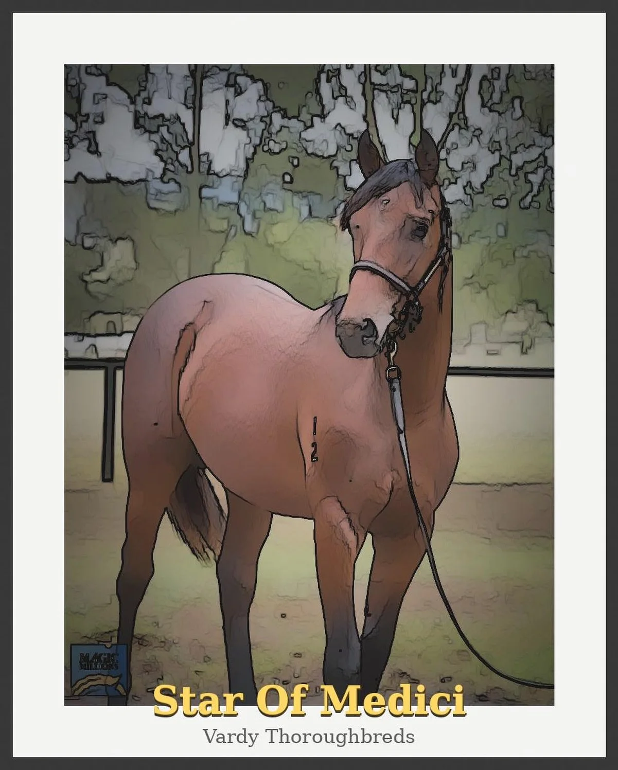 Today, Star Of Medici, races at the Sapphire Coast @sapphireracing for @pepperracing2 and Pierre Boudvillain.

The #vardytrain and Luke have been on fire over the last couple of weeks, with successive victories to Hell Of A Fox and Brutal Belle. 

Th