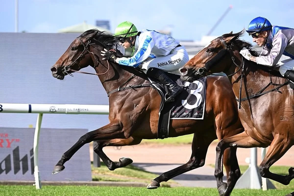 How good to see this ripping little mare back at the trials tomorrow @royal_randwick_racecourse 

Winning Proposal will be reunited with her most successful jockey, @_annaroper in what will be, hopefully, the start of a successful prep🤞💪💙💚🤍
.
.
