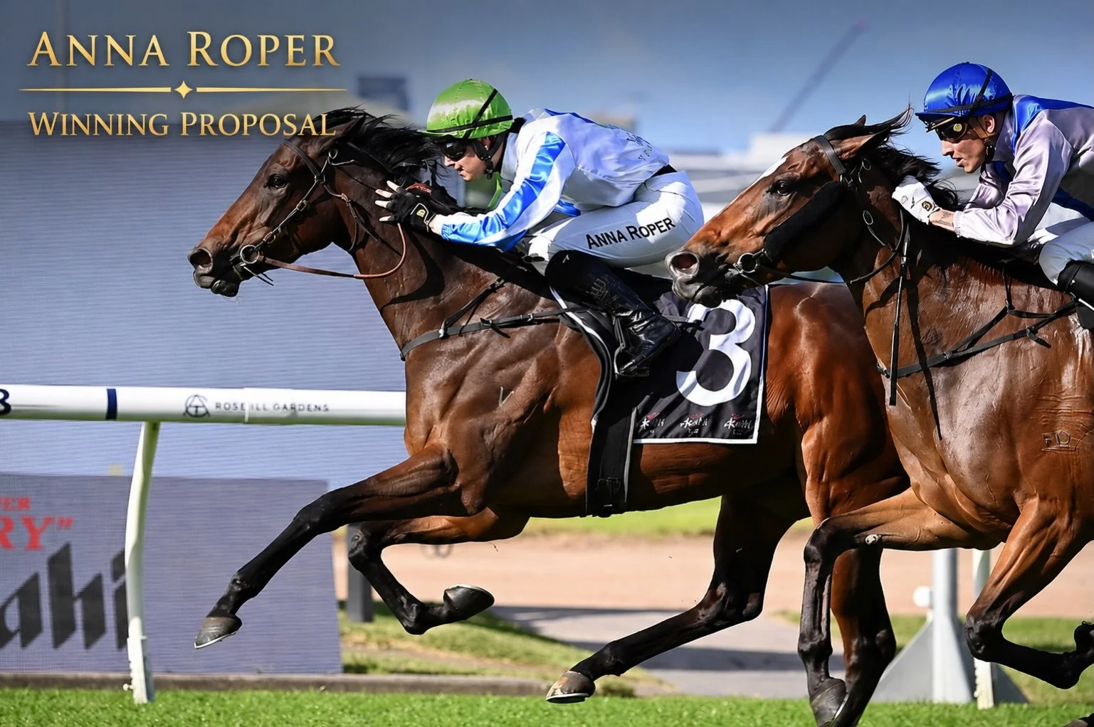 Racing today @royal_randwick_racecourse in the ninth, is our stable star, Winning Proposal. 

She reunites with @_annaroper who has an unbeaten, 2/2, record in her. 

@johnthompsonracing has her tuned up for a big first-up run, and a little bit of ra