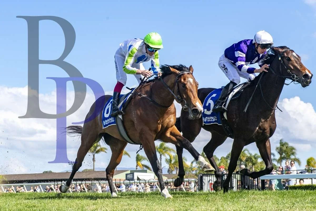Legaselli represents #teamvardy @johnthompsonracing and @keaganlatham today @kemblagrangeracecourse in race 1.

She&rsquo;s stepping up to 1600 for the first time today and we have no doubt she&rsquo;ll handle the trip. 

She&rsquo;s improved again s