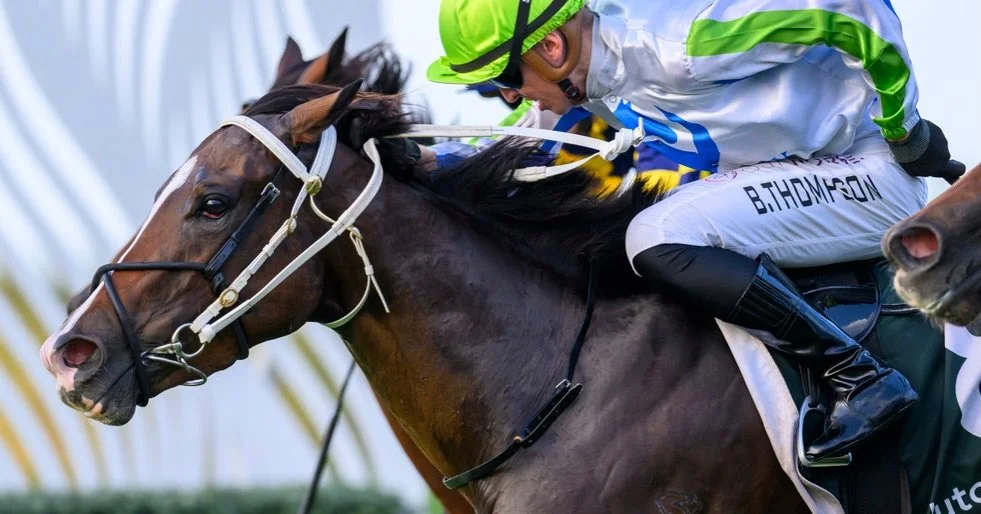 Get in early, get the cash and go home&hellip;that&rsquo;s the plan🤞

Get Ready Lass kicks off the day in race 1 at Eagle Farm for @chrisandersonracing and Mark Du Plessis. She&rsquo;s bounced through her last run and the $8 odds are quite nice😉

R