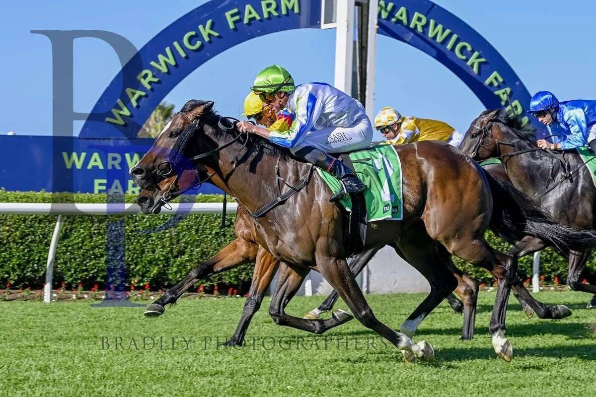 Hellbent On You and @nash_rawiller 

The last time they were together, HBOY produced an amazing &ldquo;last to first&rdquo; performance @warwick_farm_racecourse , and we&rsquo;re hoping that can be the case again today in race 5.

If she&rsquo;s anyw