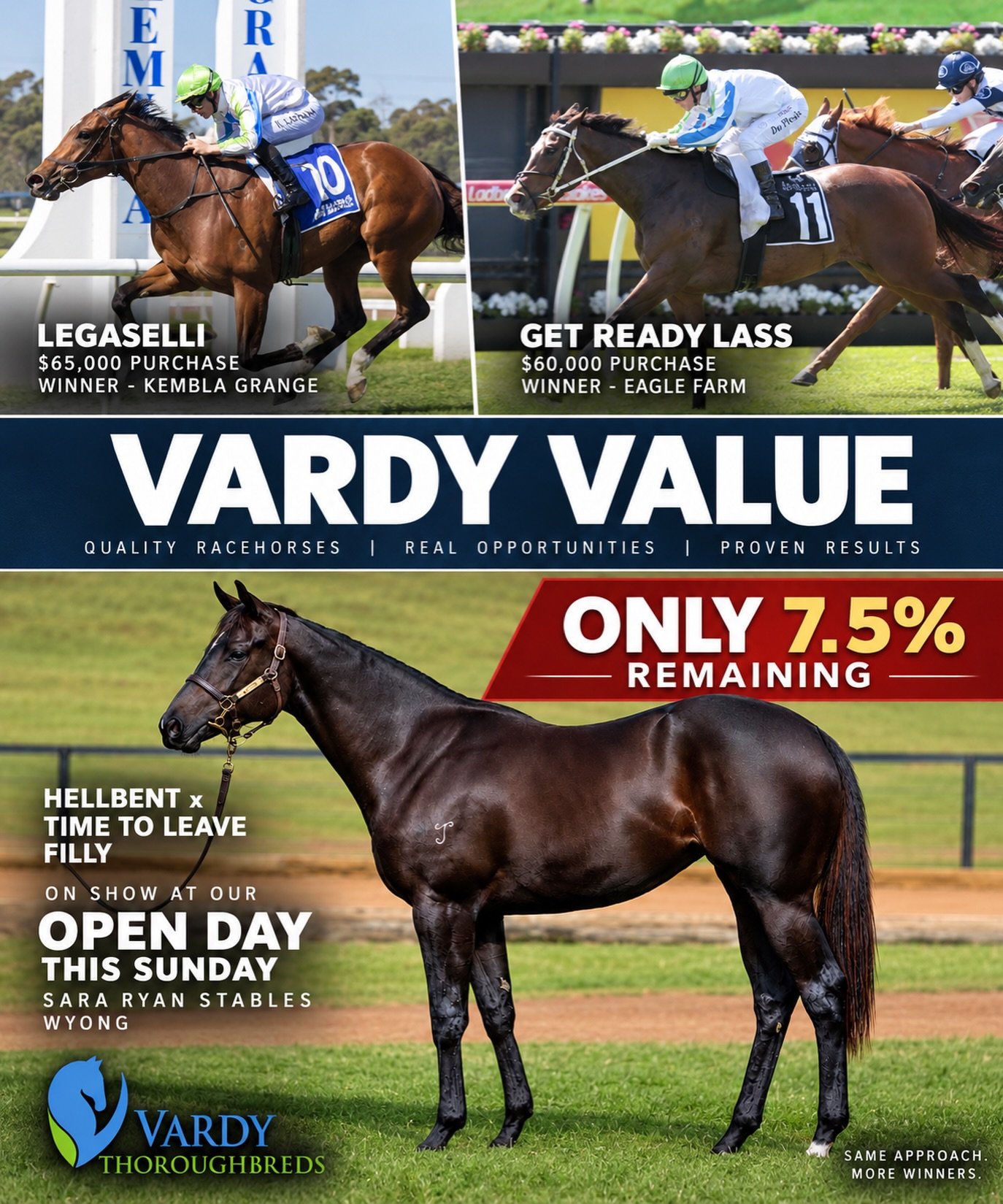 Only 7.5% remains across all of the yearlings we purchased this year - and it&rsquo;s our Hellbent x Time To Leave filly.

Have we saved the best till last? 

Come out this Sunday, see her for yourself and have a look at some of the quality horses we