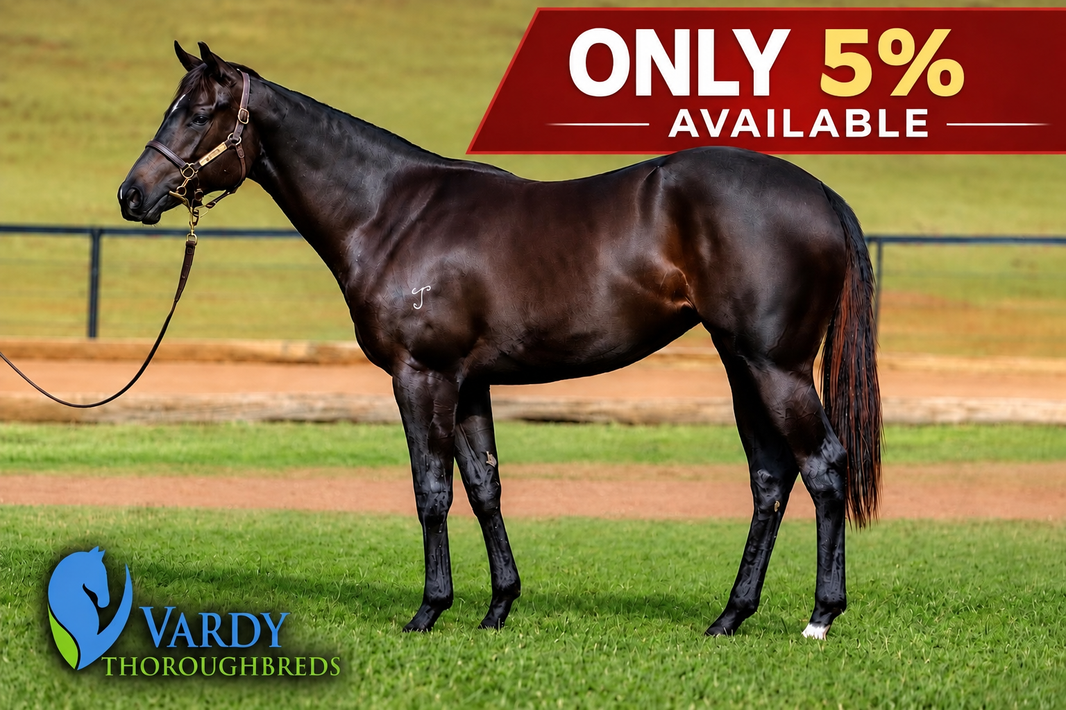 She’s one “hell” of a filly!