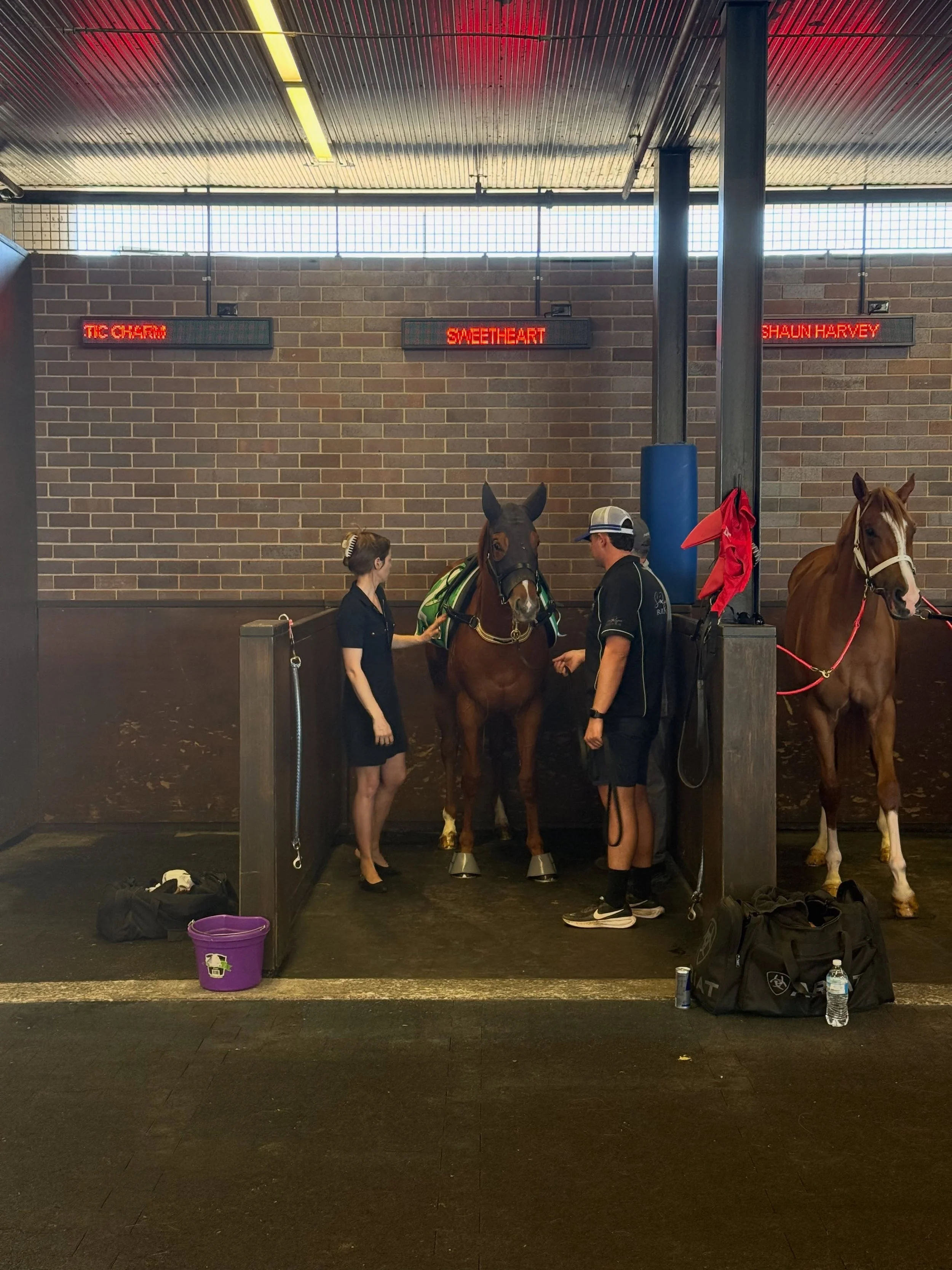 What a sensational effort by our #pocketrocket Farnans Sweetheart today at the first 2YO trials of the season @royal_randwick_racecourse 

To be beaten by 4 lengths, in the quickest time of the day, after being 3 wide during the journey, is simply &l