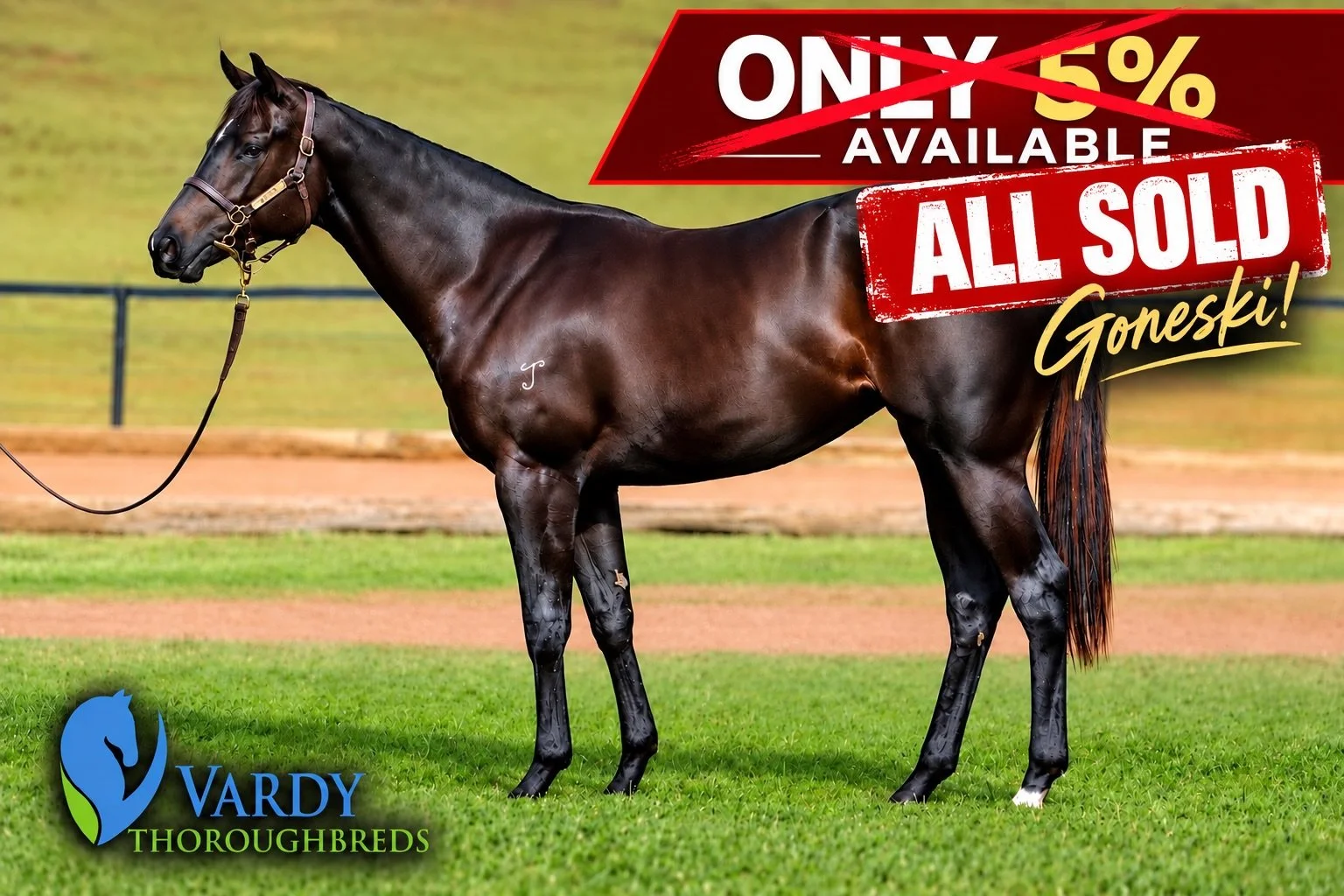That&rsquo;s it, done and dusted! 

We&rsquo;ve sold all shares in the Hellbent x Time To Leave filly that @sararyanracing will train. 

All of our 2026 yearlings from the @magicmillions and @inglis_sales are fully subscribed to, and we can now get o