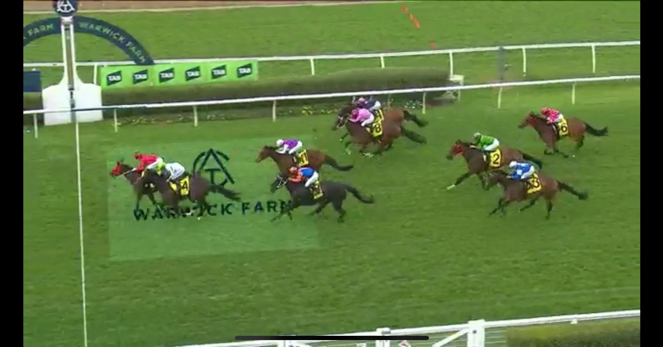 So close, but so very happy! 

Hellbent On You went down fighting, beaten just 0.25 of a length. 

There was a fair bit of pressure on today, but a gun ride by @reecey.jones enabled her to get the silver medal 🥈 

@johnthompsonracing and his staff a