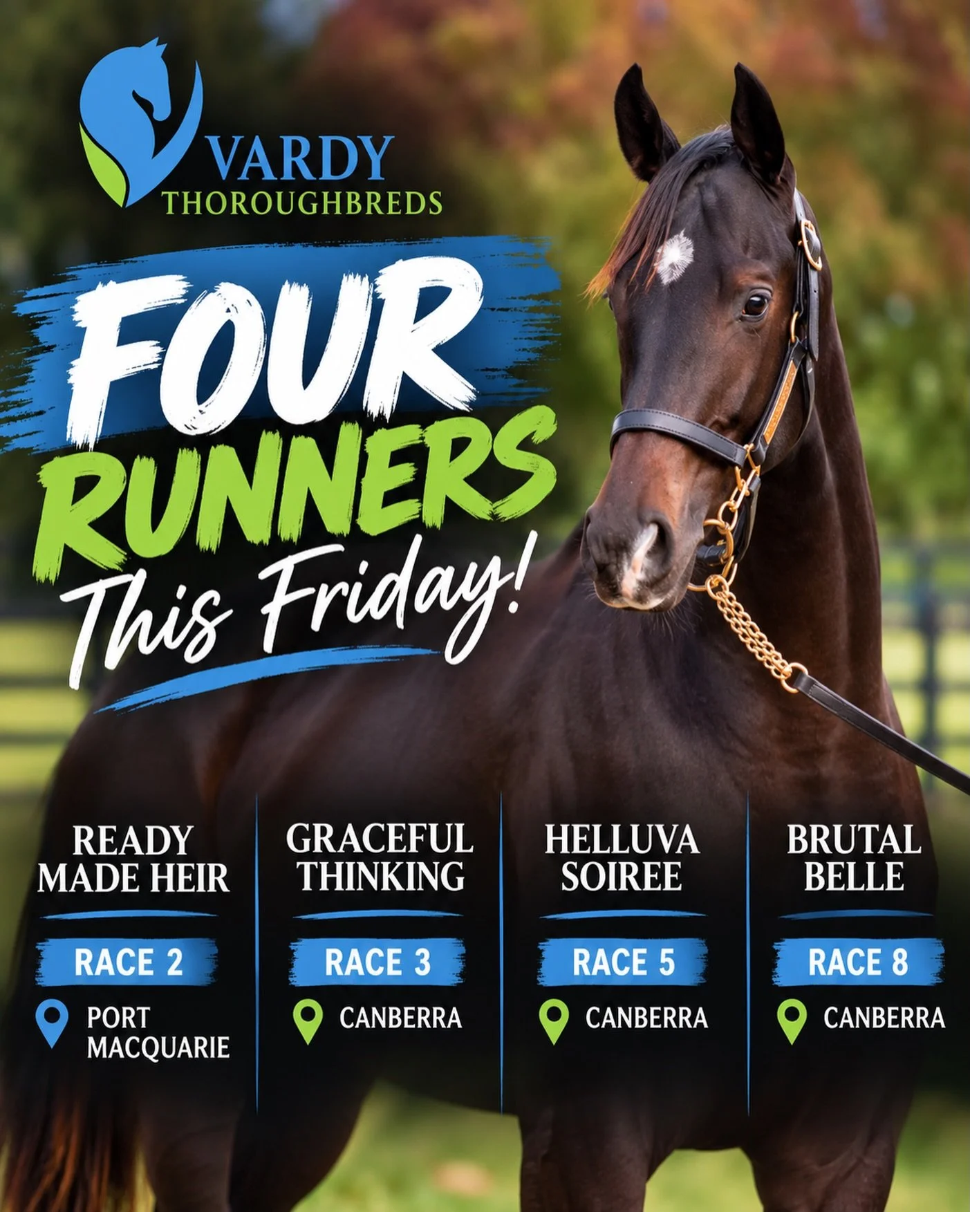4 runners today for the Vardy Army💙💚🤍

Ready Made Heir in race 2 at Port Macquarie for @kristenbuchananracing 

Graceful Thinking, race 3 @thoroughbredpk Canberra for @pepperracing2 

Helluva Soiree race 5 at Canberra 

Brutal Belle race 8 at Canb