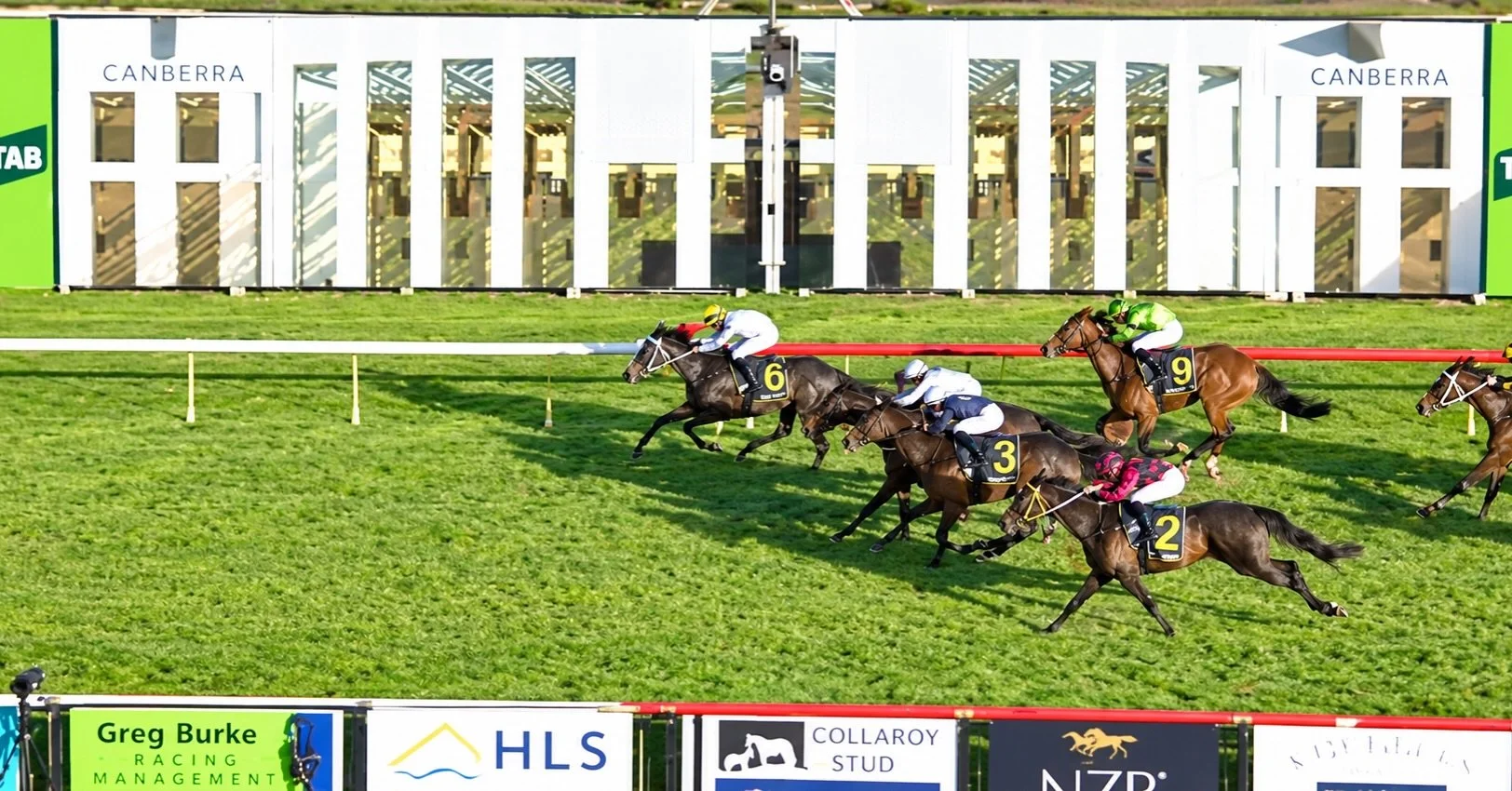 Brutal Belle&hellip;you bloody beauty! 

These horses are full of surprises, and today she surprised us! 

Here we were, thinking that she&rsquo;d be ridden quietly and be hitting the line to finish in the minor placings&hellip;😂😂😂

Well, she did 