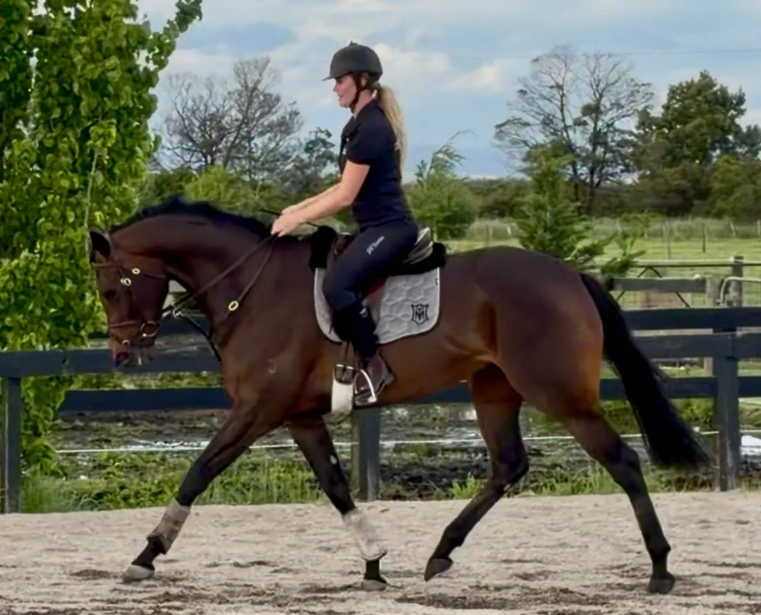 There&rsquo;s something incredibly fulfilling about seeing one of your horses happy and loved in their new home. ❤️

Here&rsquo;s Helluva Soiree beginning her next chapter in equestrian, and we couldn&rsquo;t be happier for her.

They give us so much