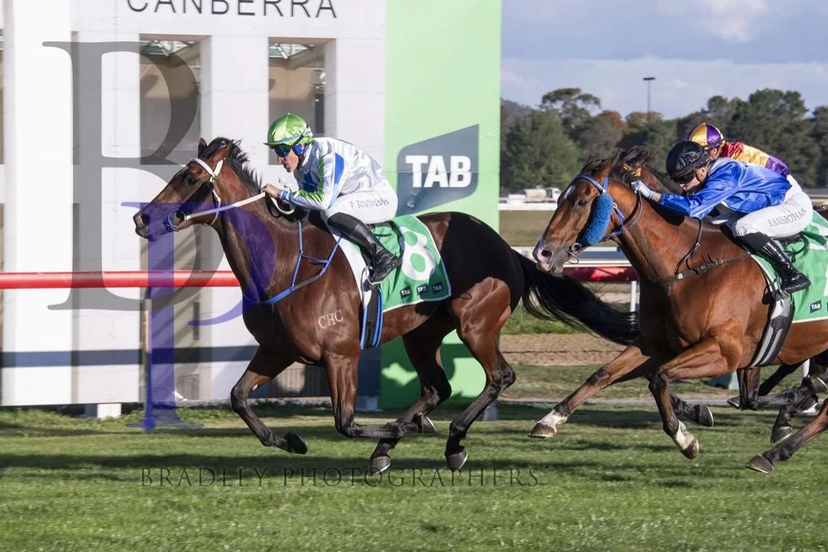 Hell Of A Fox heads to @murrumbidgeeturfclub Wagga Wagga today in race 7 for @pepperracing2 and @jeanvovermeire 

She&rsquo;s got the right conditions, racing at a track she loves, a great jockey and a good barrier. Those combinations should see a go