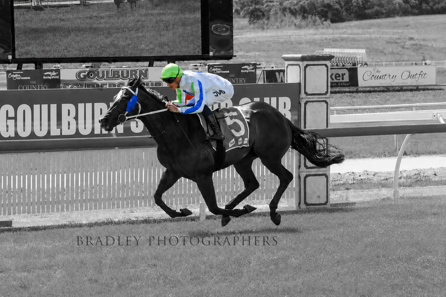 Vardy Thoroughbreds - Race with your Mates