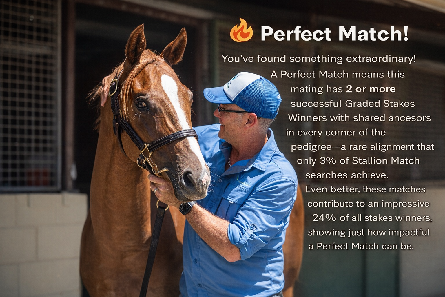 Ole Kirk x Meow - It's a perfect match!