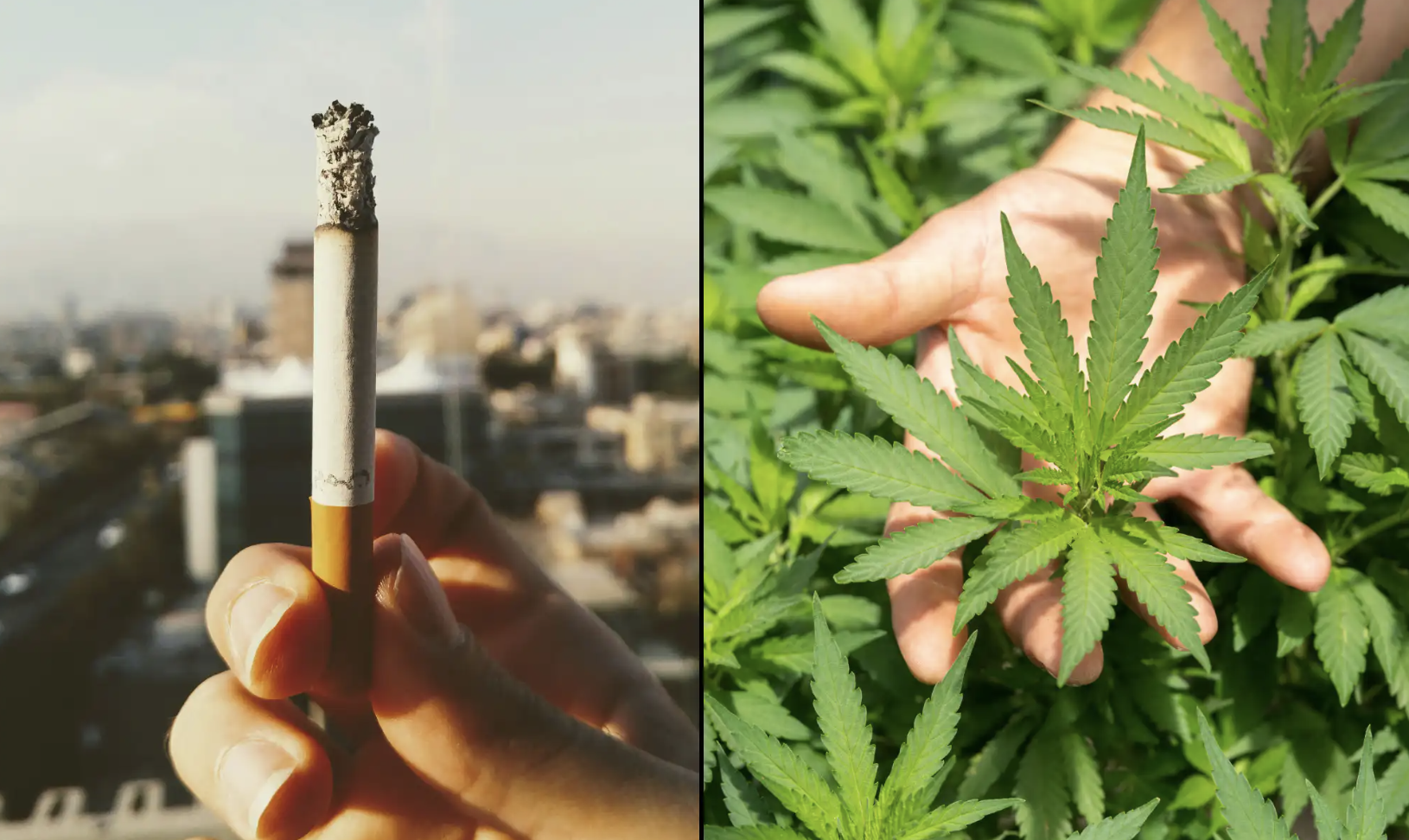 More Americans Now Use Marijuana Than Smoke Cigarettes, New Study Shows