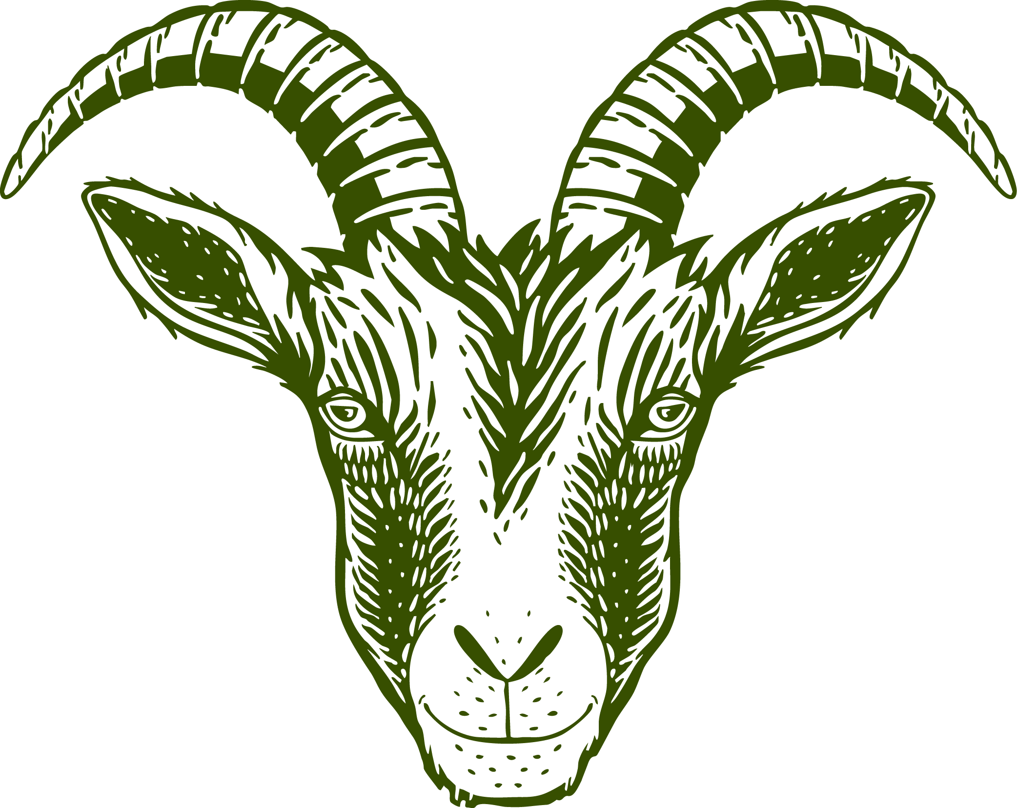 Illustration of a green mountain goat's head with large curved horns and detailed facial features on a black background.