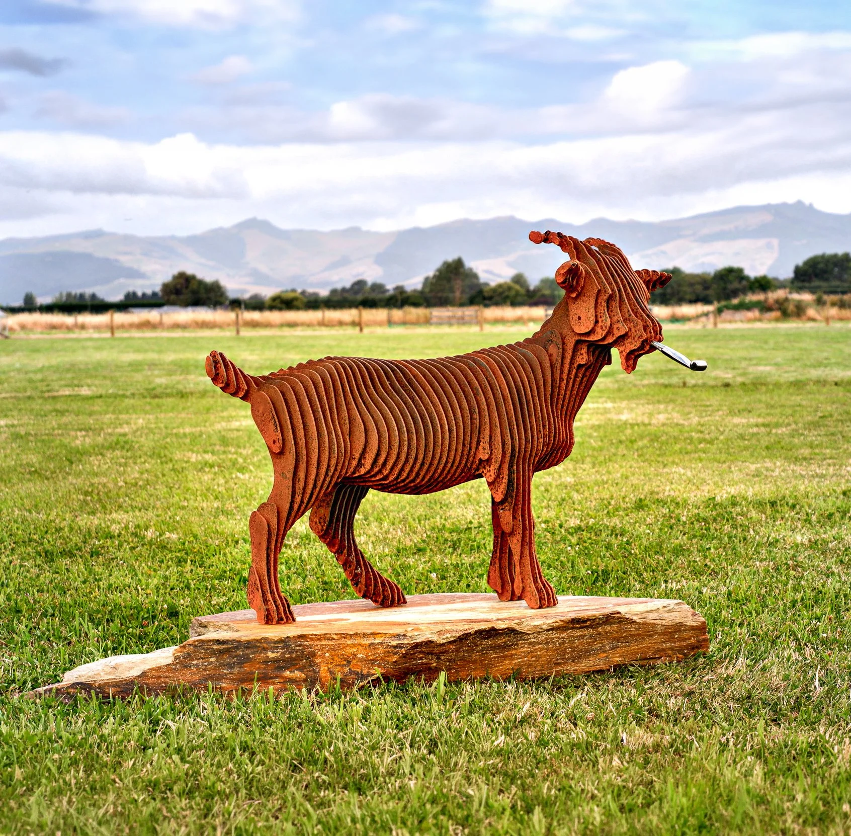  20. Pearce Malcolm 
  Whistle Blower  
 (2026)
 Corten steel and polished stainless casting, mounted on large rock.
 670 x 810 x 250mm (excl rock base)
 Ed. 1 of 1
 $13,000
   SOLD  