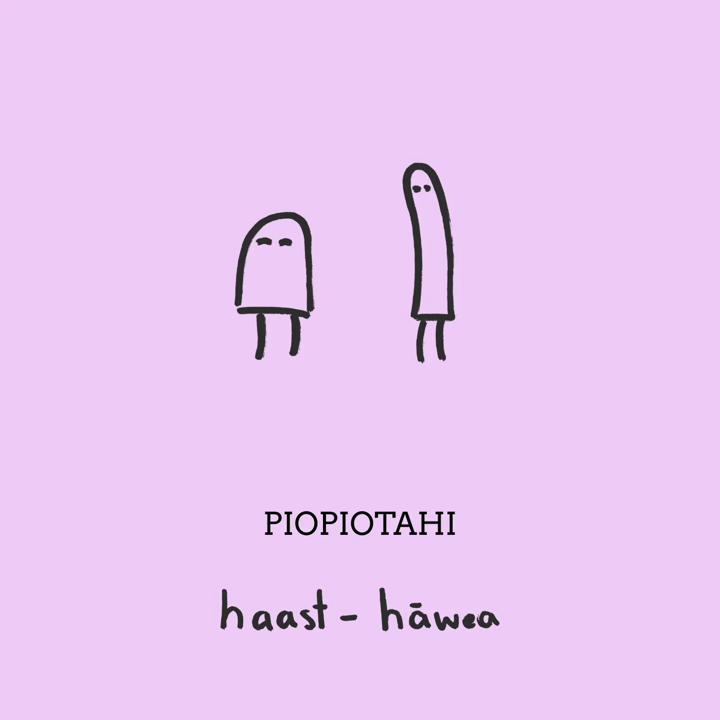 MAP_53_Ivan-Clayden-Piopiotahi Cover.jpg