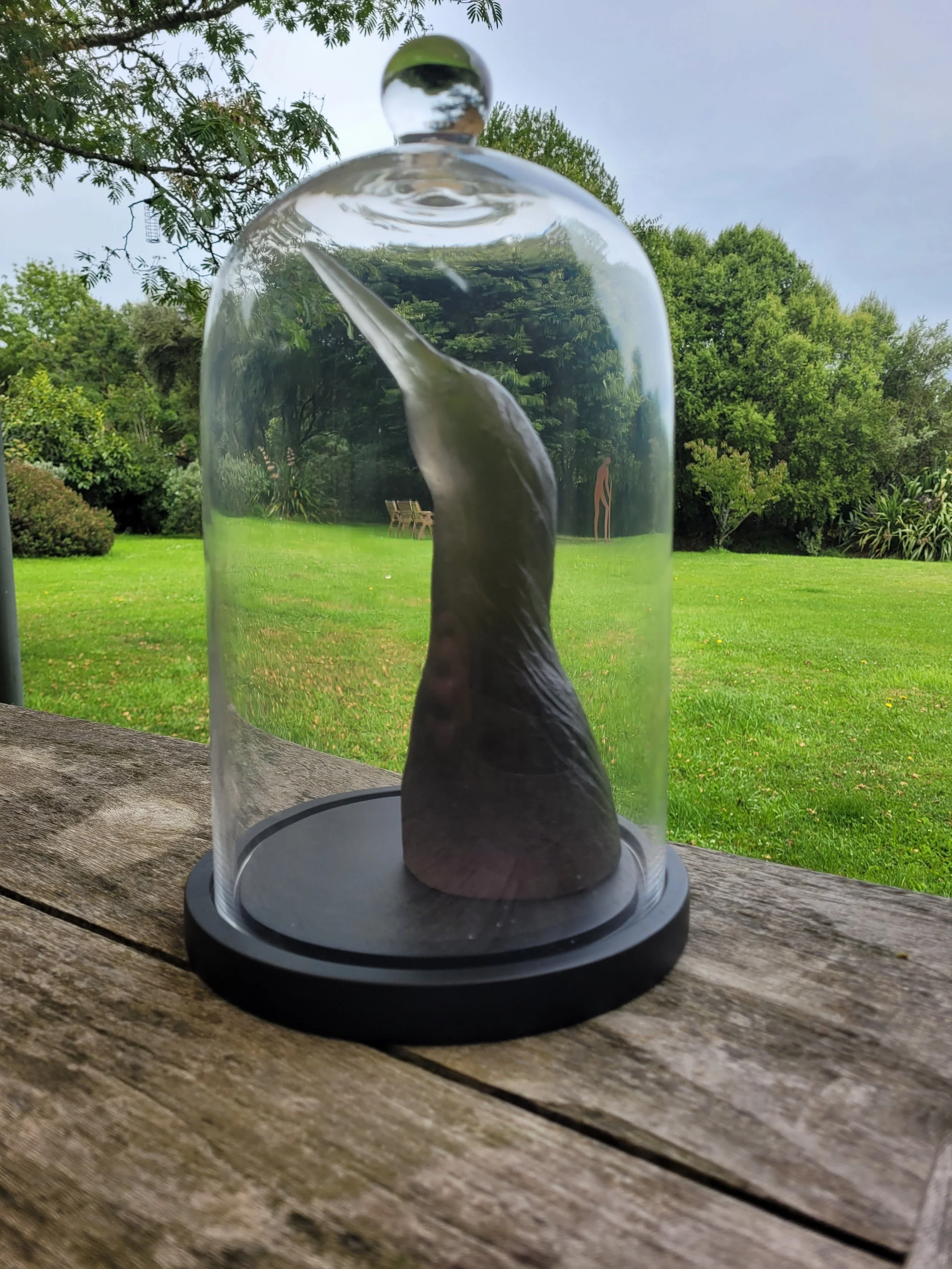  92. Annabel Menzies-Joyce 
  Bittern 1 [smoky]  
 (2026)
 Cast glass in cloche
 340 x 200mm
 $1,540