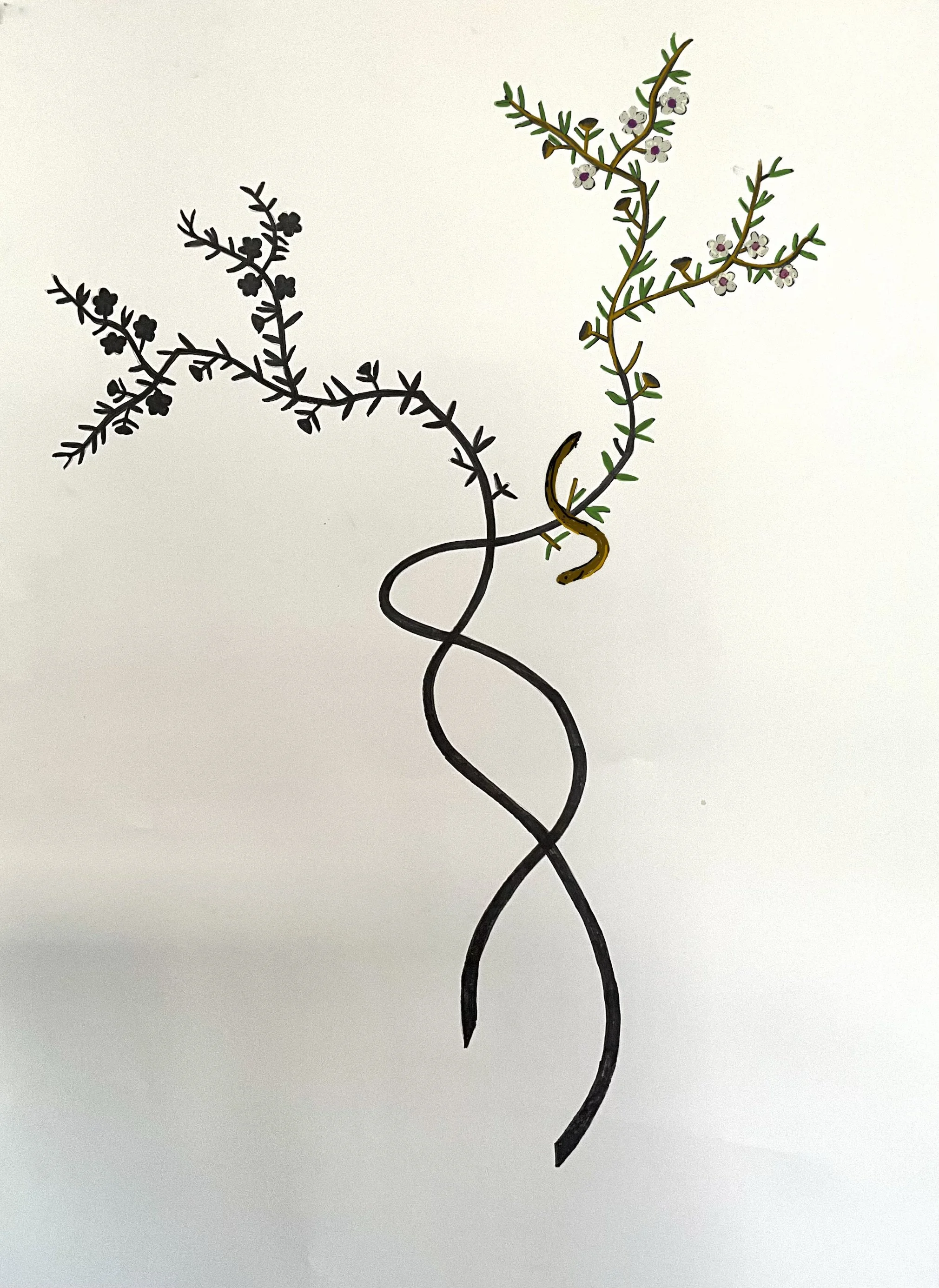 Map_80_Bing-Dawe Mostly Shadow, Manuka with Flower and Tunariki.jpeg