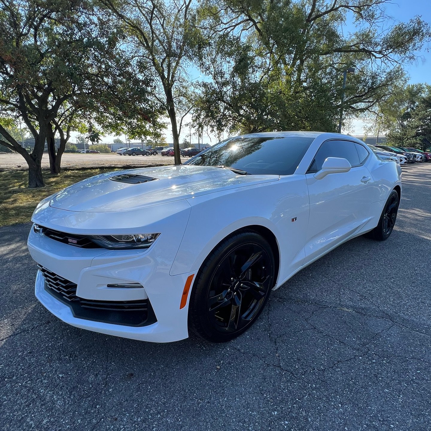 Chevy Camaro SS treated to our Midnight Special Package 💎
Protect your investment and book your detail today!