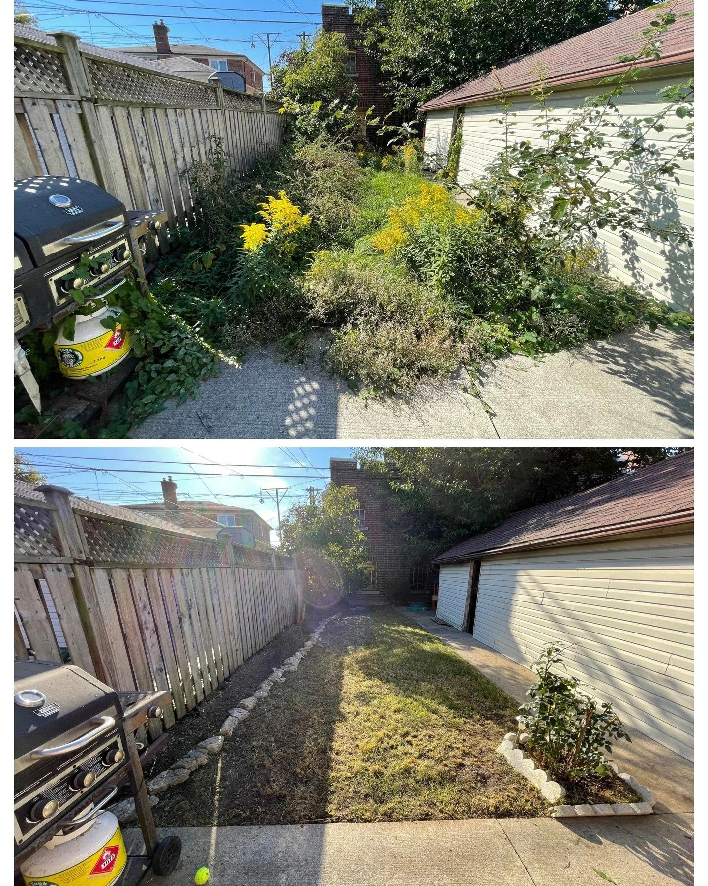 See what real transformation looks like. This backyard went from overgrown to inviting in just one visit. Wondering how your property could look with expert care? Our licensed, insured team brings three generations of local expertise to every job. Re