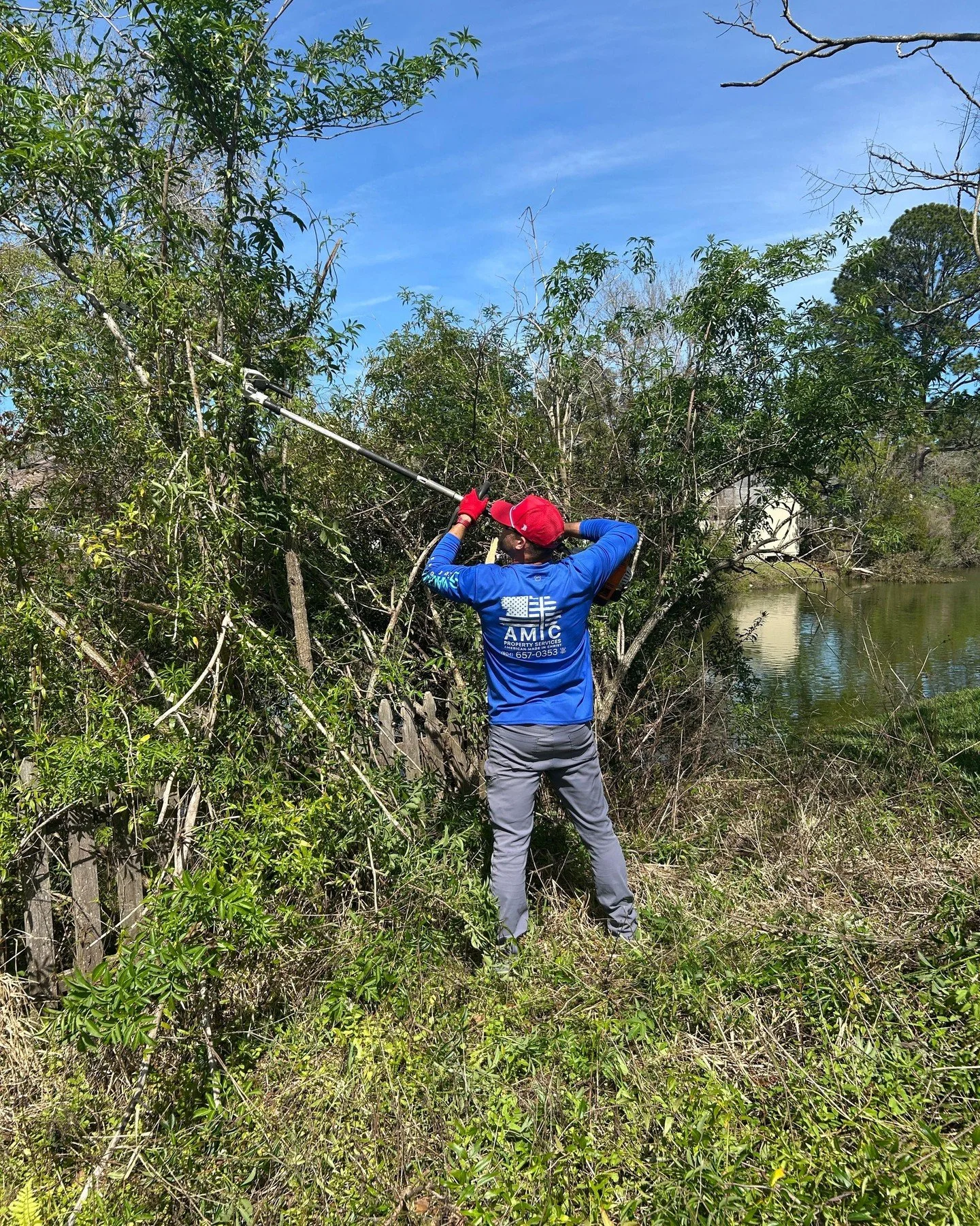See how property care transforms value. Real results, real expertise. Notice the difference when skilled hands handle your tree care. Our licensed, insured team delivers every detail&mdash;safely and professionally. Curious about how your property co