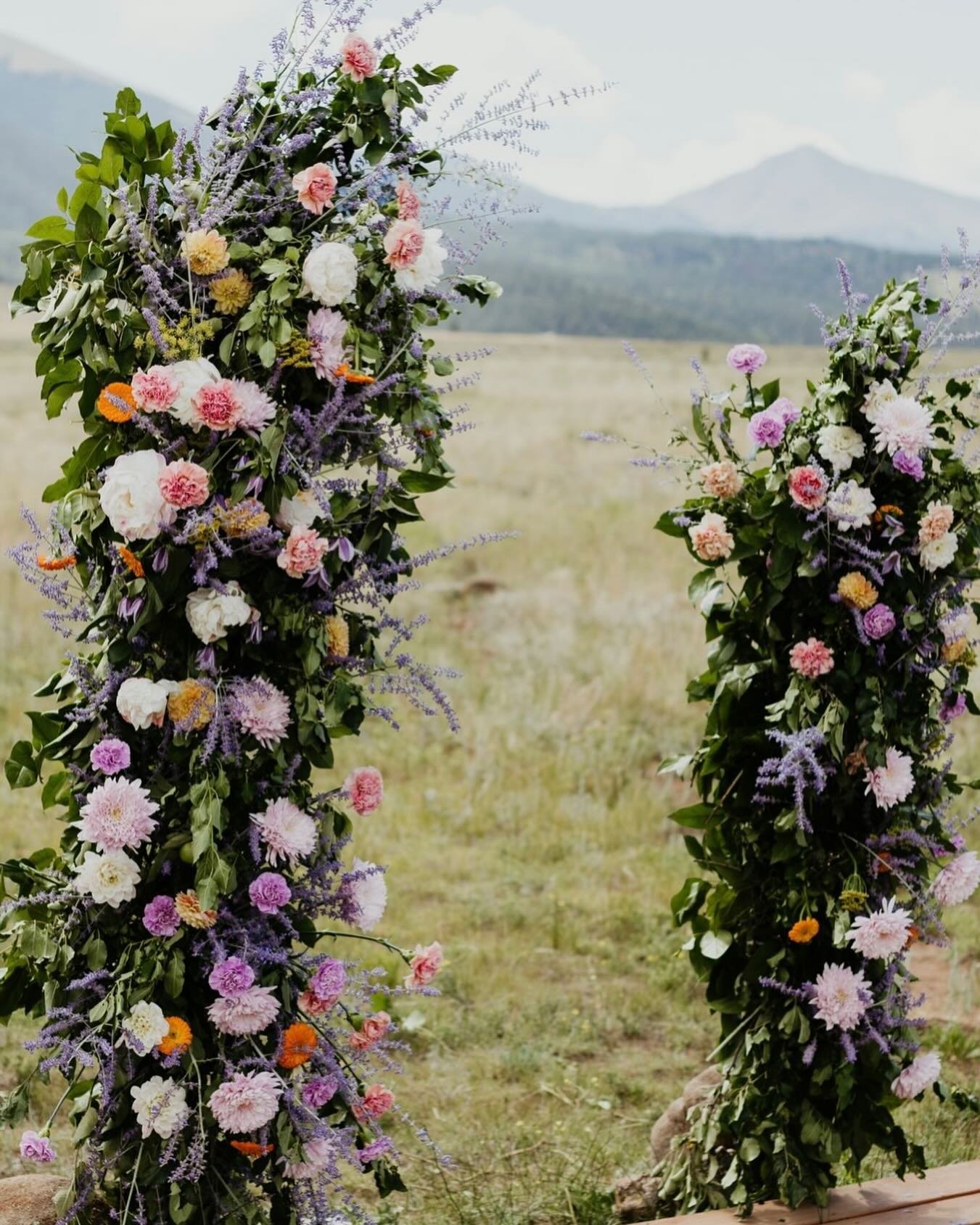 Say &ldquo;I do&rdquo; to incorporating floral arches that compliment the natural beauty of your outdoor ceremony 

Planning/ Coordination: @weddingsbyjay_ 
Photographer: @chelseabeamerphotography 
Videographer: @storyboxfilm 
Venue: @thethreepeaksra