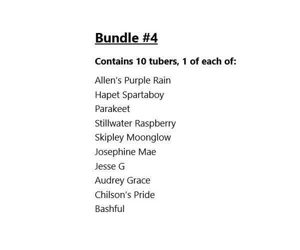 Bundle #4
