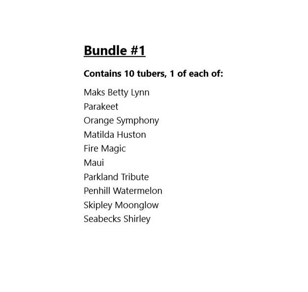 Bundle #1