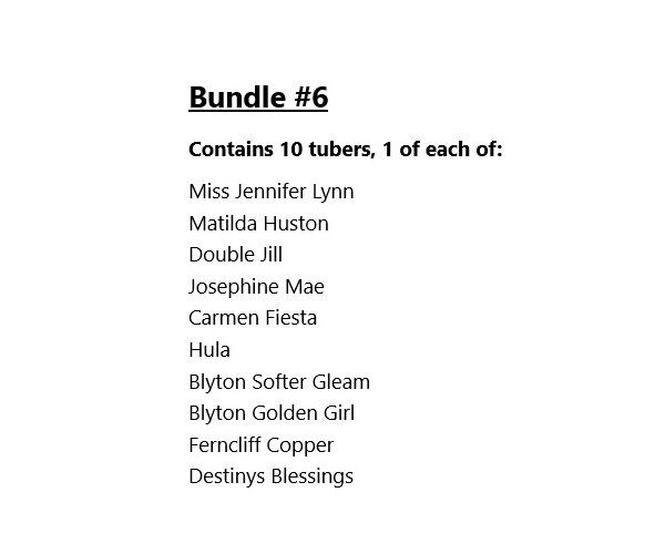 Bundle #6