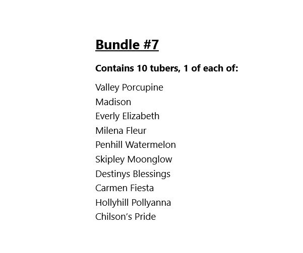 Bundle #7