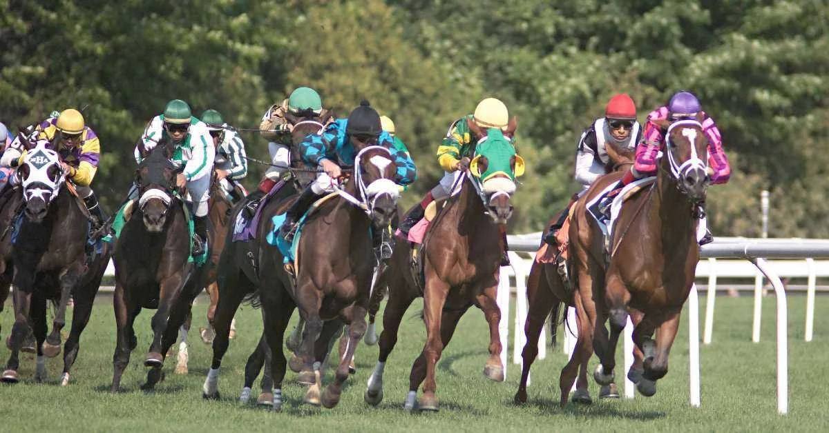 saratoga-race-track.jpg