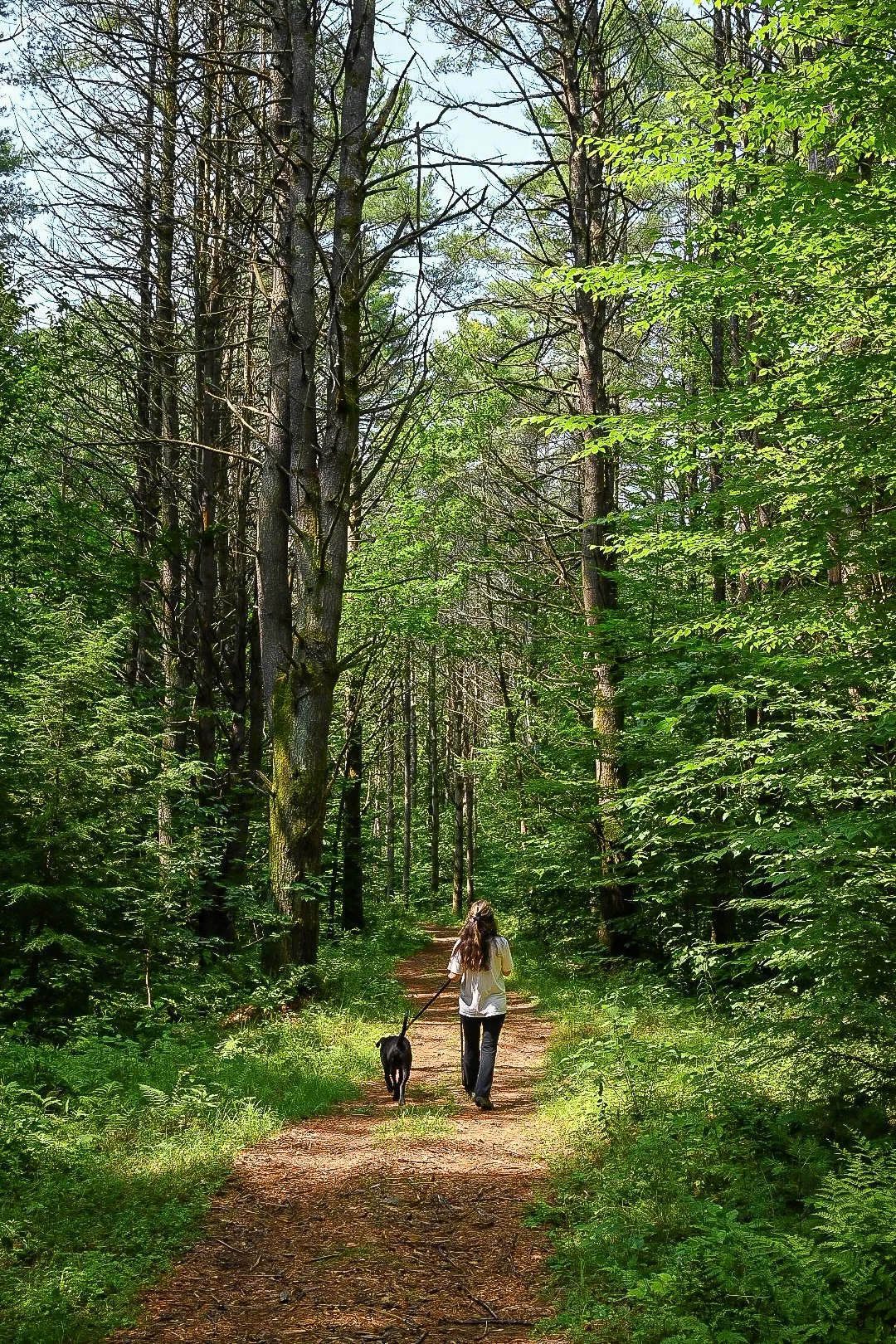 Nature Breath Walk