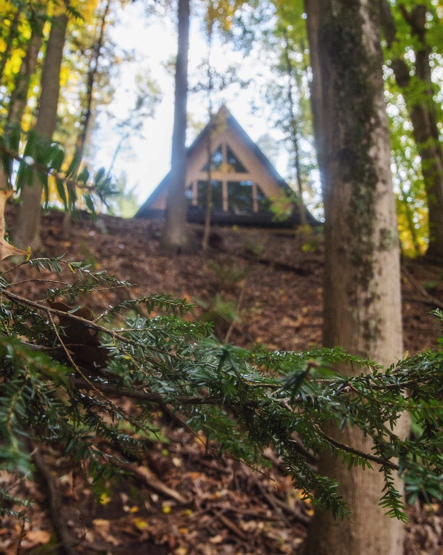 The best place to take in fall 🍁🍂 #fallinmichigan #autumnvibes

#aframe #aframedaily #aframecabin #modernaframe #aframehouse #aframeliving #aframehome #aframefever #cabinlife #cabinlove #cabinliving #moderncabin #cabinsofinstagram #airbnbhomes #pur