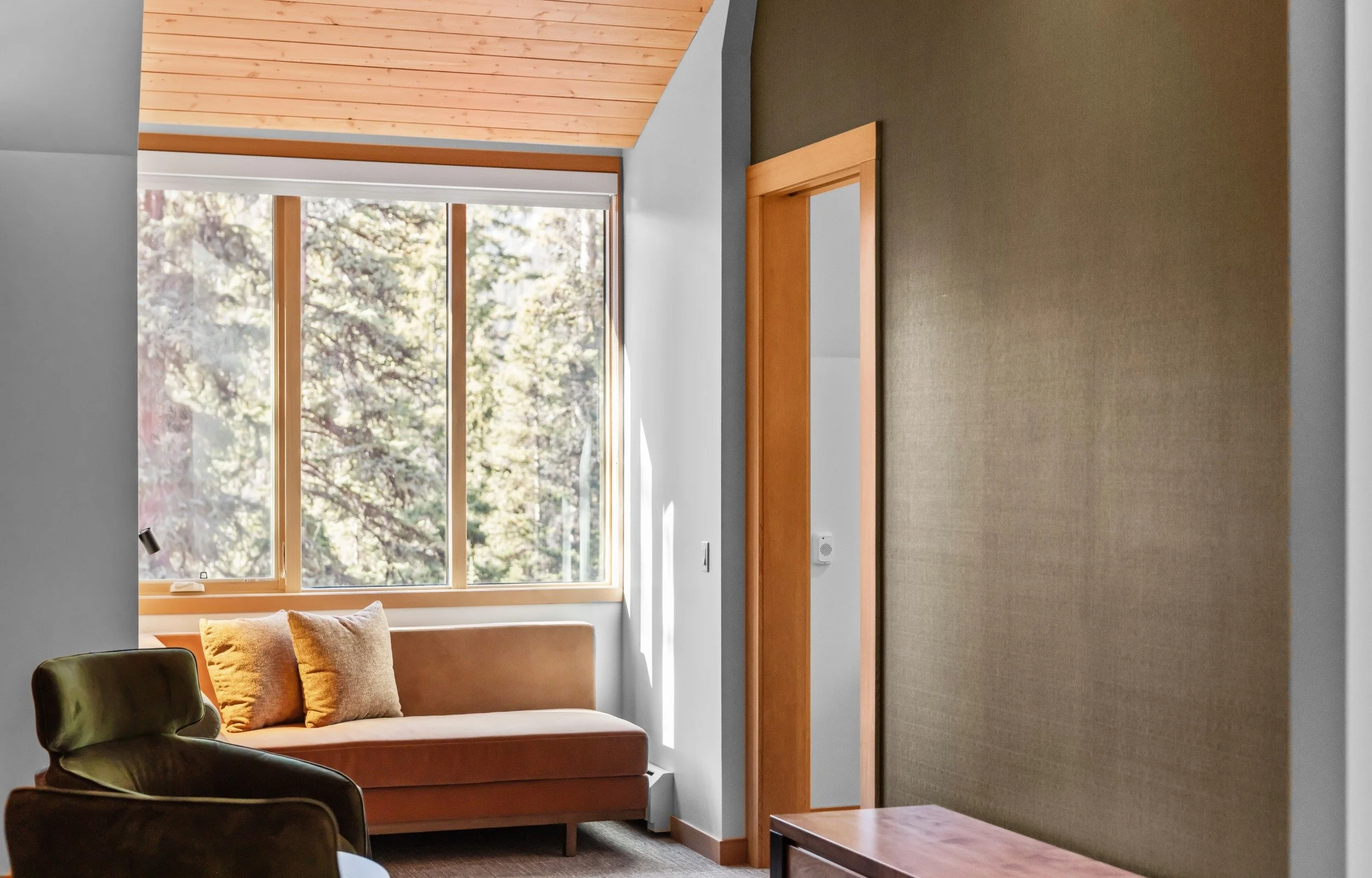 Hector Glacier Suite - 8.jpeg