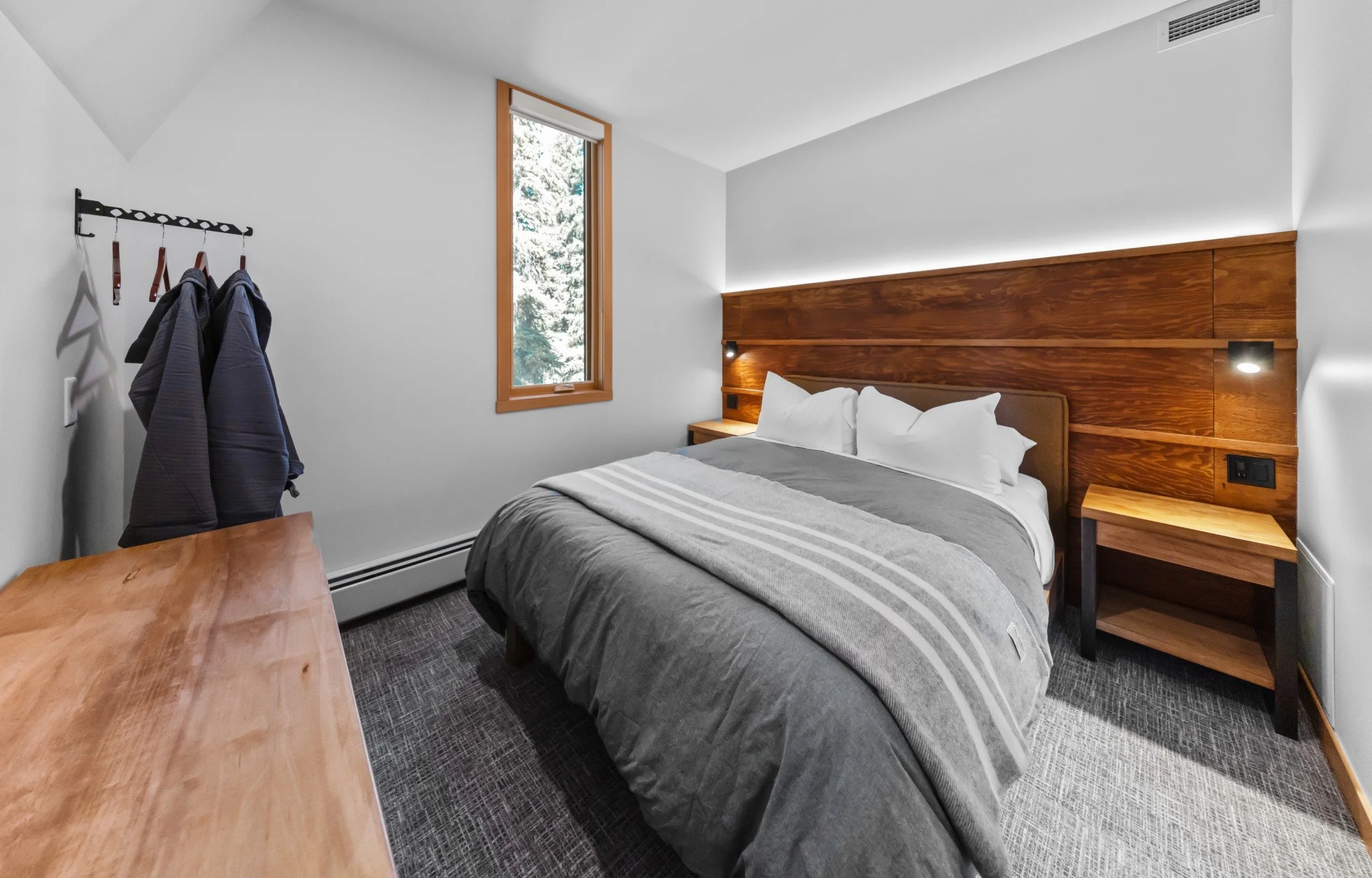 Hector Glacier Suite - 3.jpeg
