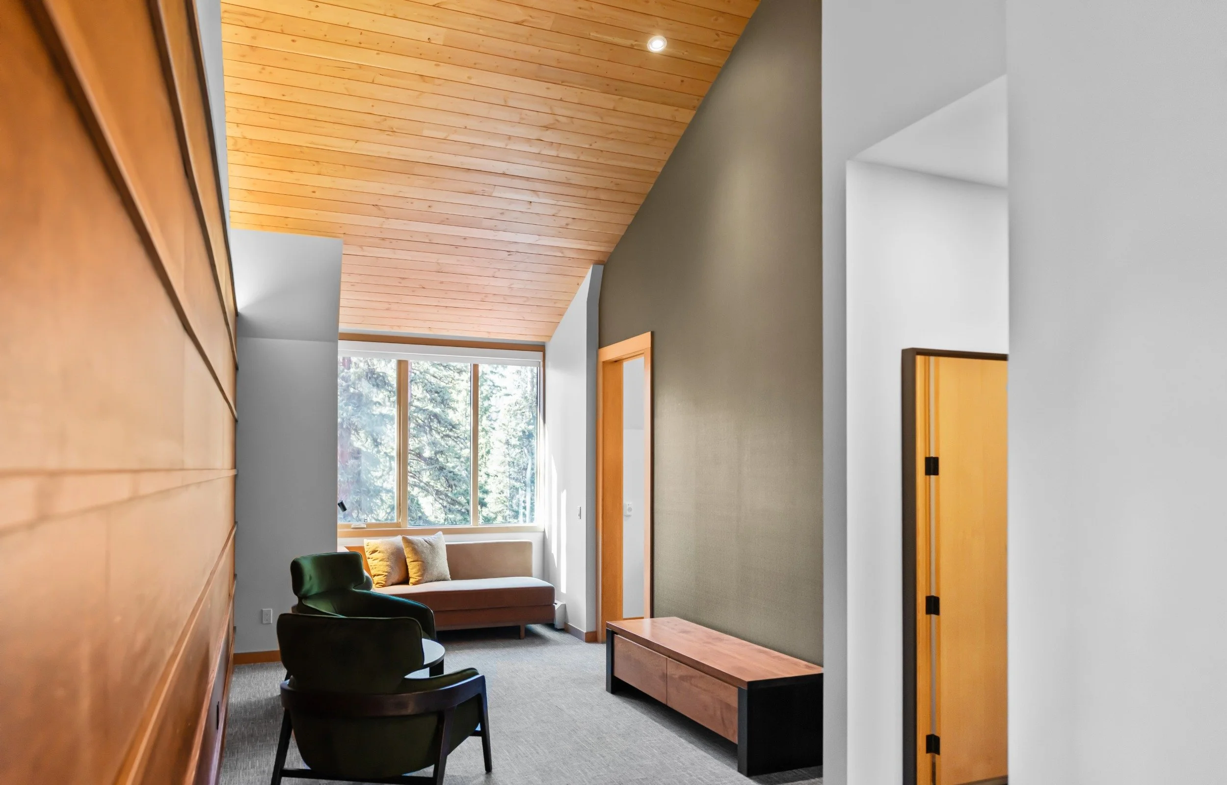 Hector Glacier Suite - 7.jpeg