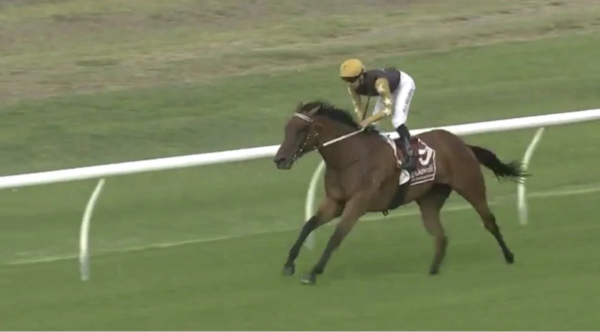 A jockey riding a brown horse at a race track.