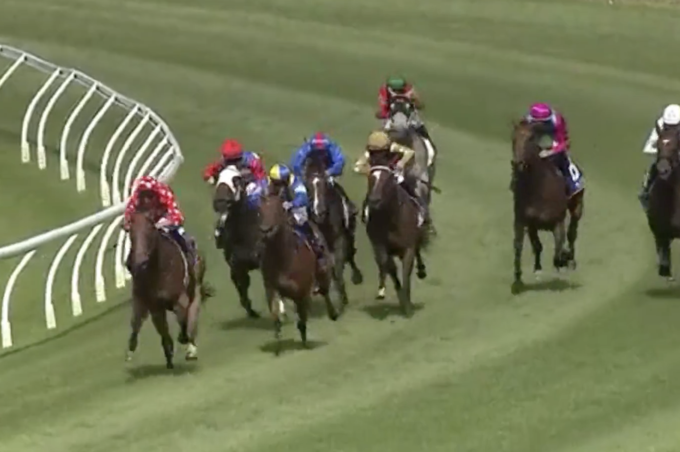 Stella Lass Solid on Debut