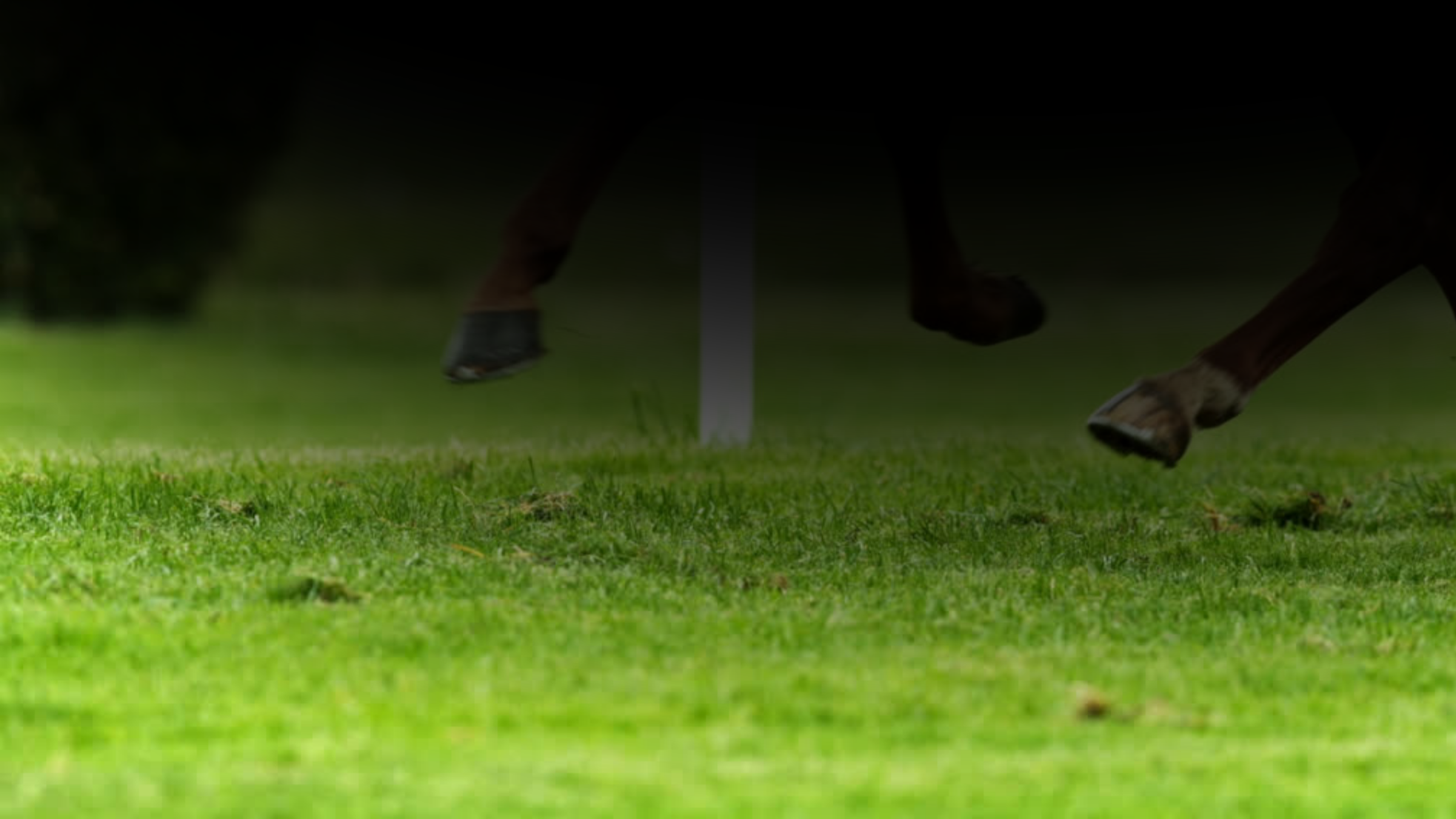 Copy of SYNDICATION.png