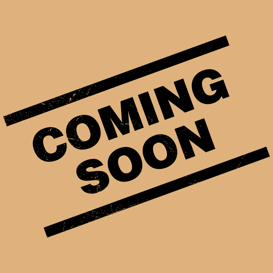 Copy of THE THRILL RACING-2.png