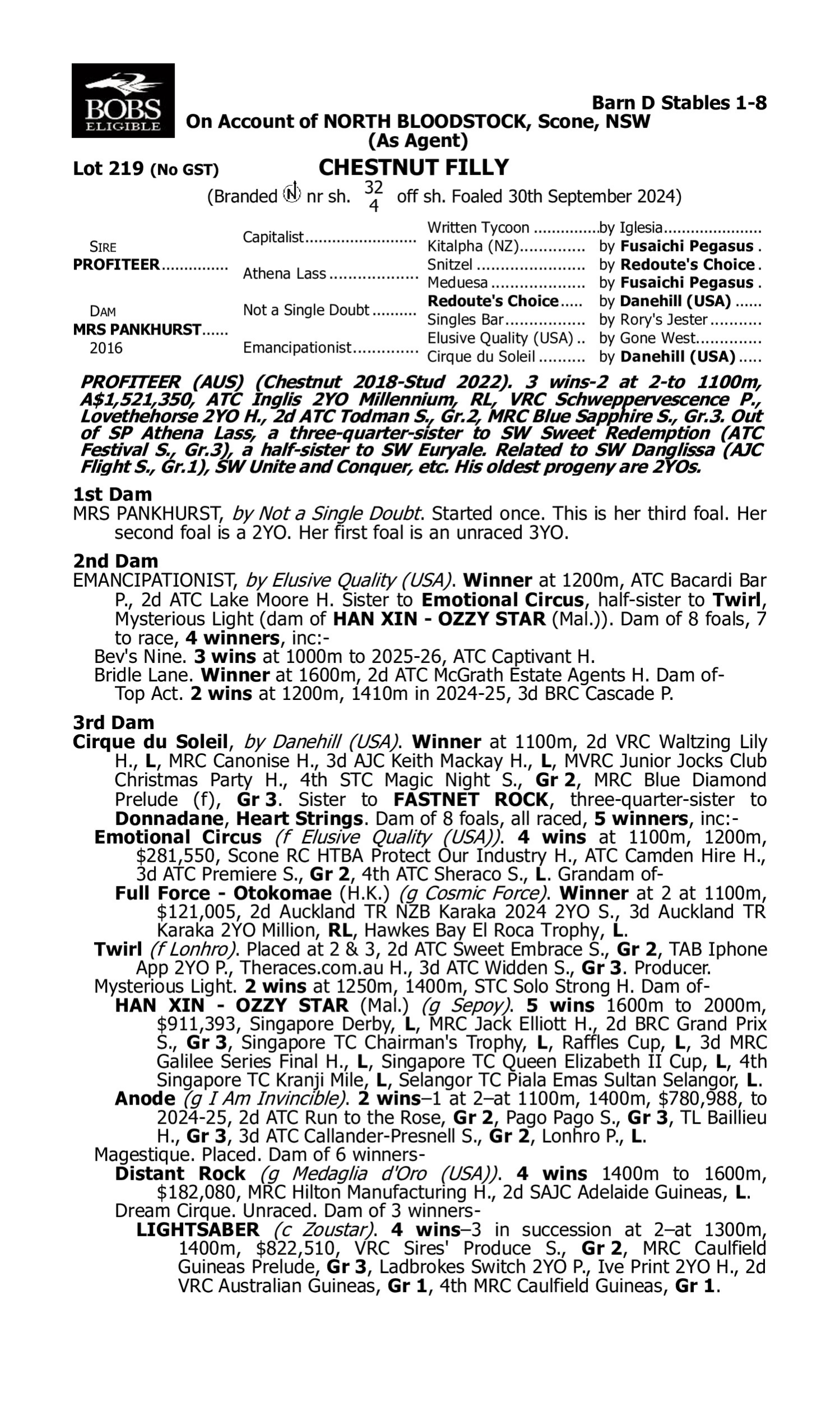 Horse breeding and auction details for Chestnut Filly at North Bloodstock, Scone, NSW, including pedigree, racing achievements, and sale information.