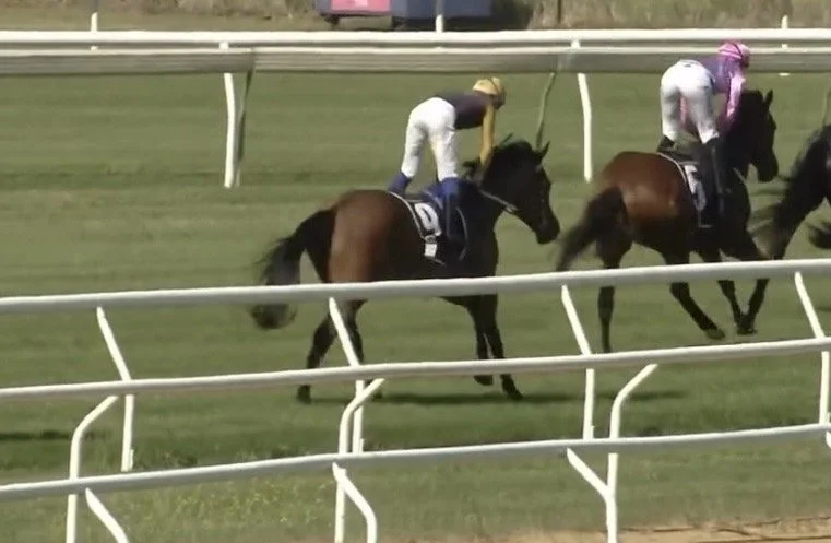 Horse race with jockeys on track, two horses visible, one with rider in purple and the other in white and black.