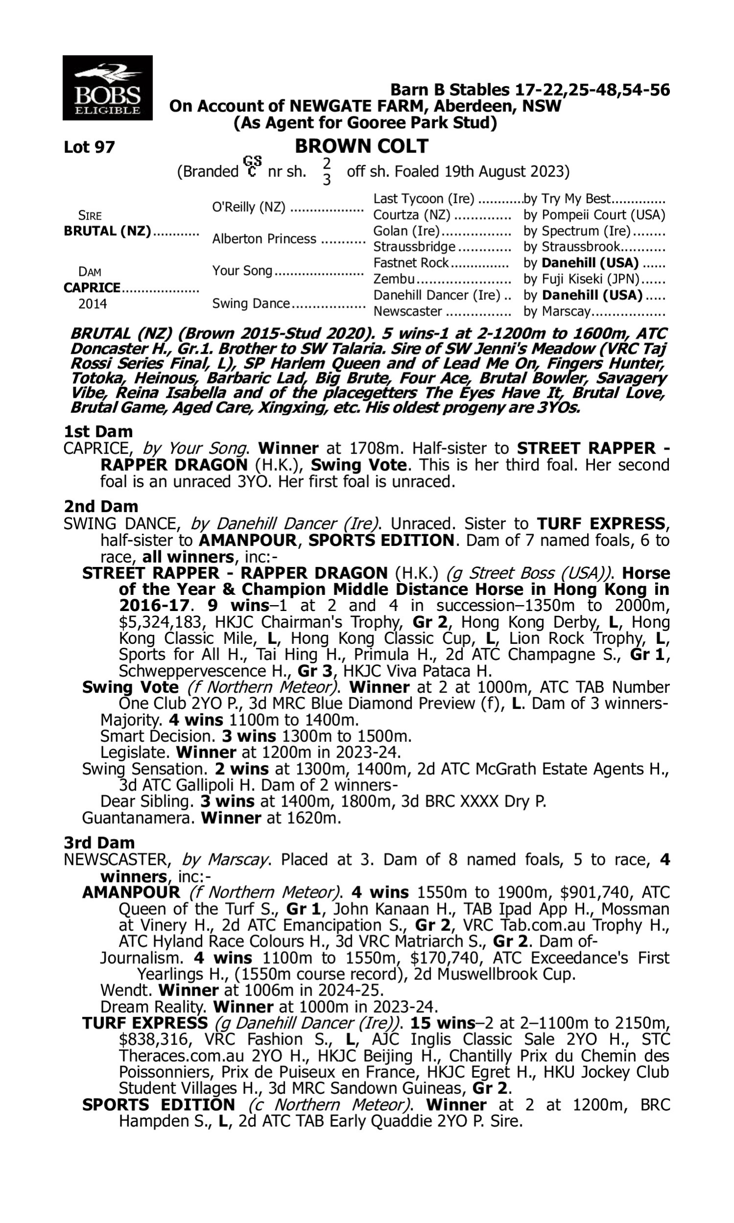Document detailing the pedigree, achievements, and race record of a brown colt named Your Song, including information about his sire, dam, notable wins, and breeding history.