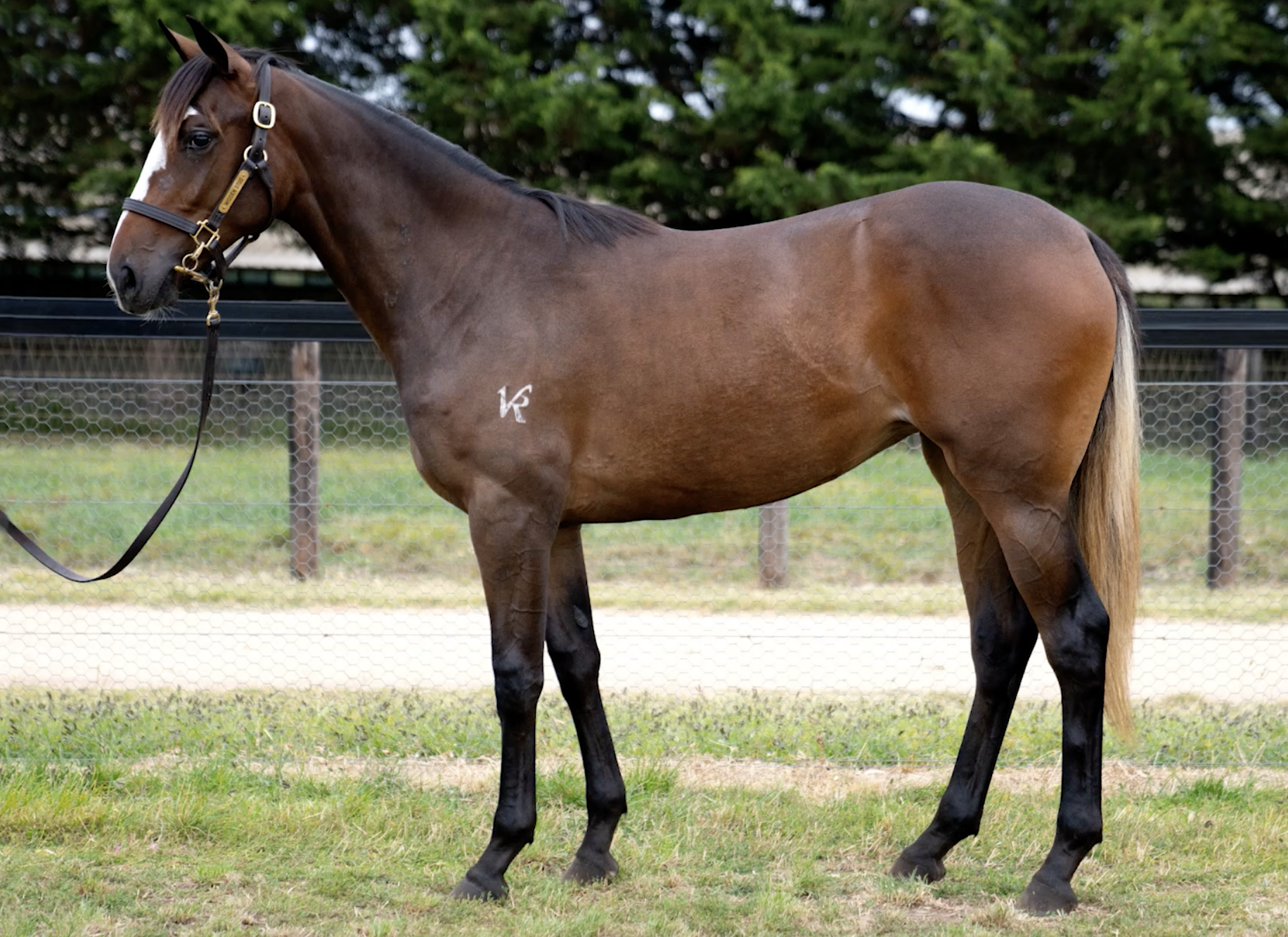 Screenshot 2024-07-18 at 2.02.56 PM.png