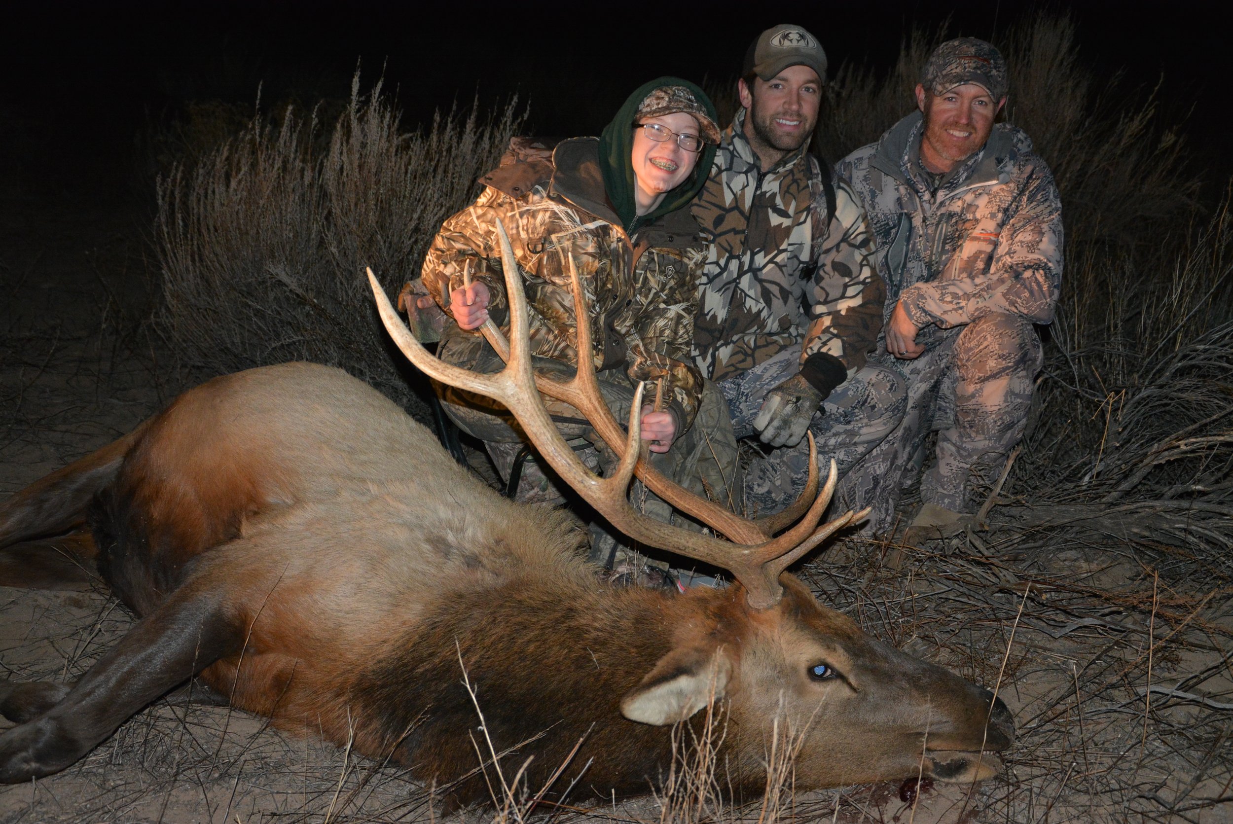 Kaylee's NM elk pic 1.JPG