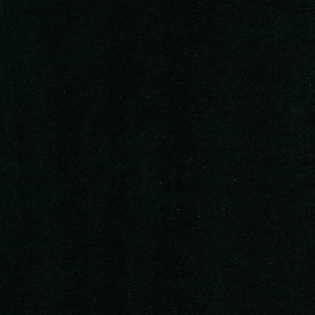 vine-black-painted-swatch.jpg