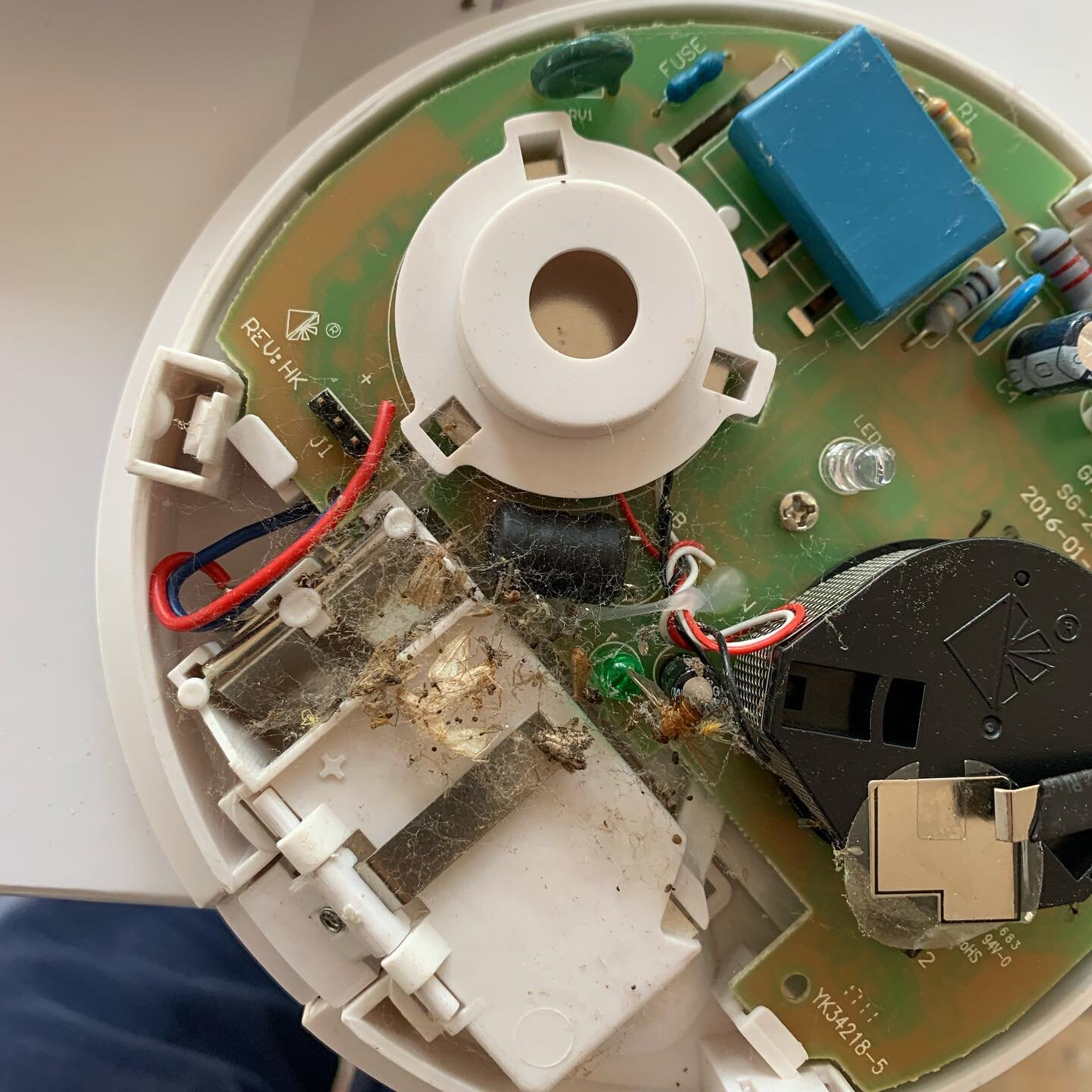 I&rsquo;ve had a couple of calls recently about smoke alarms going off for no reason. With all the wet and cold weather bugs and spiders love the warm cosy confines of smoke alarms.So a tip is to make sure you keep them clear of cobwebs and vacuum ar