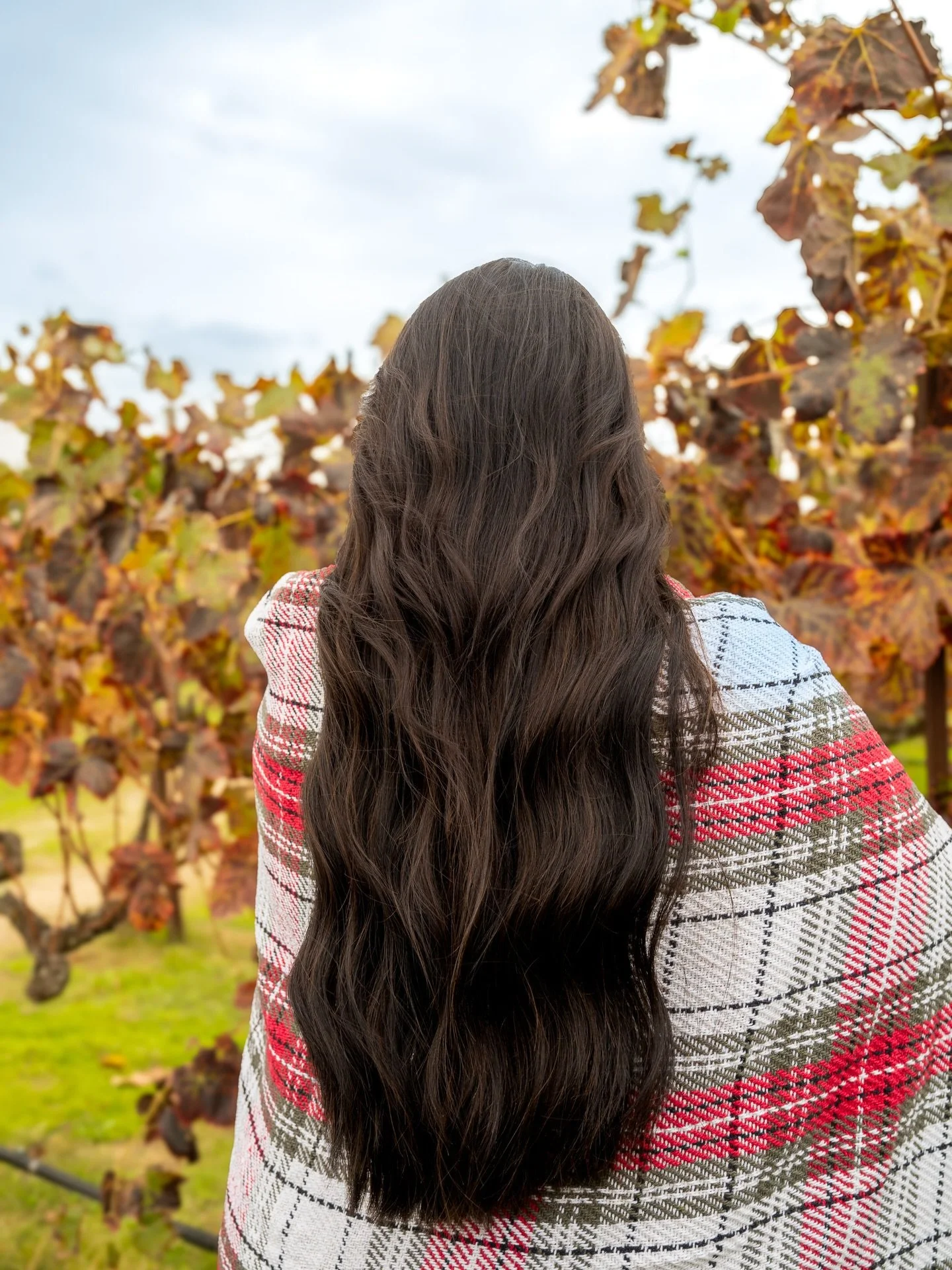 ✨🎄 HOLIDAY MODEL SEARCH! 🎄✨
We&rsquo;re looking for a few Christmas cuties to join us in the salon for blowouts, extensions, color, and haircuts &mdash; think fresh hair and festive vibes all season long! 💁&zwj;♀️💫

If you&rsquo;ve been wanting t